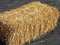 Bale of straw.jpg