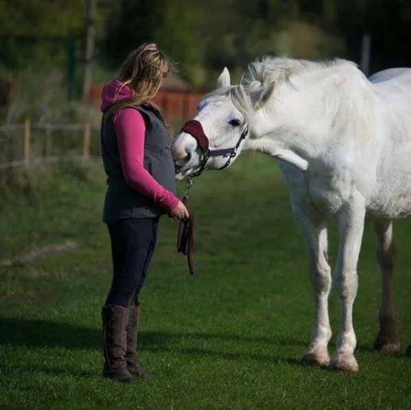 Noble and his new owner at Help for Horses UK charity
