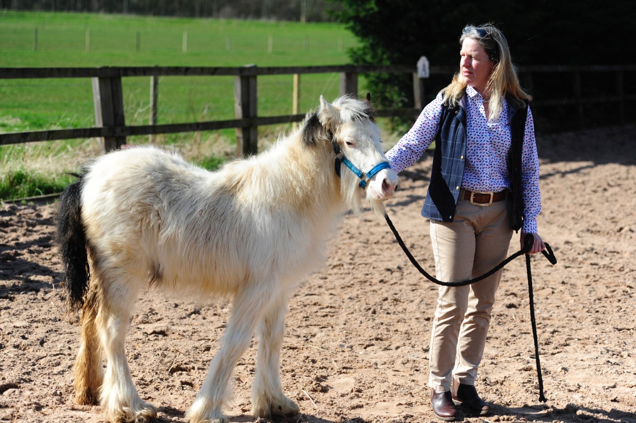 Bubble and Squeak enjoying the sunshine!