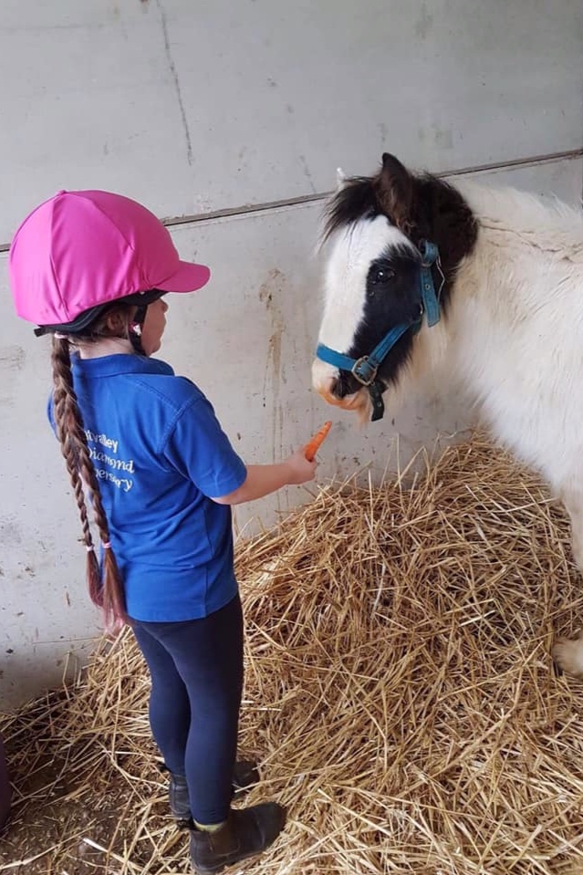 Squeak making a friend at Help for Horses UK