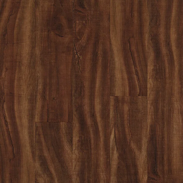 saddle-overhead.jpg