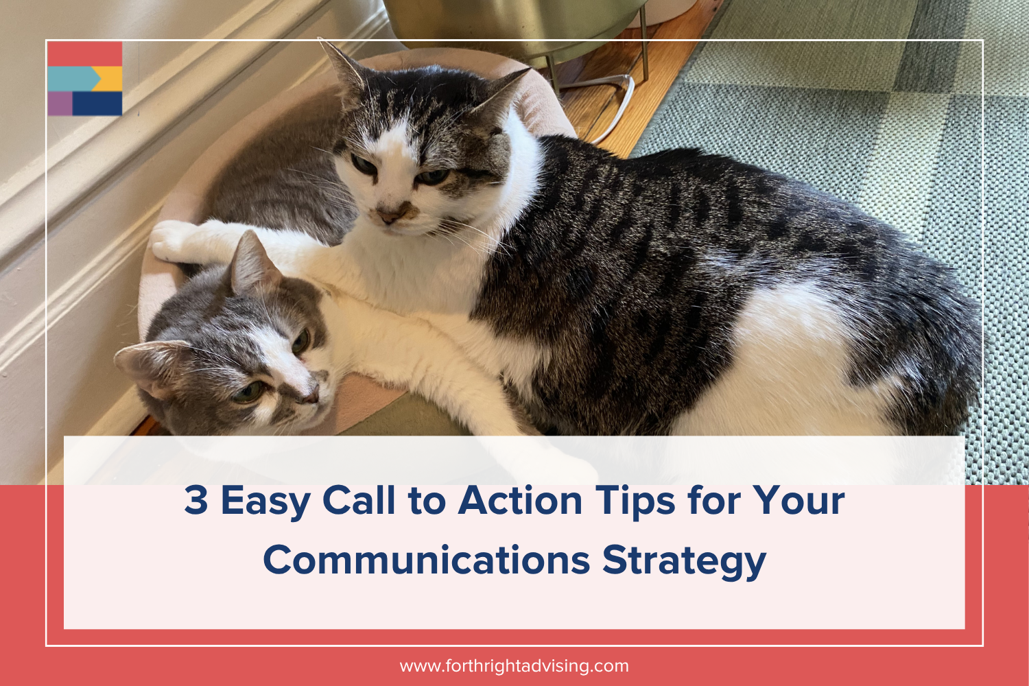 Marketing graphic featuring two cats sharing a bed. Overlay text on a red and white border reads, "3 Easy Call to Action Tips for Your Communications Strategy." A geometric logo sits in the top-left corner.