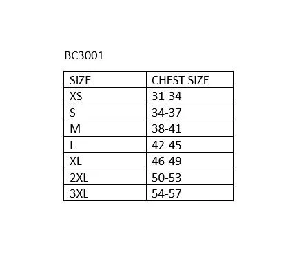 bc3001 size chart.JPG