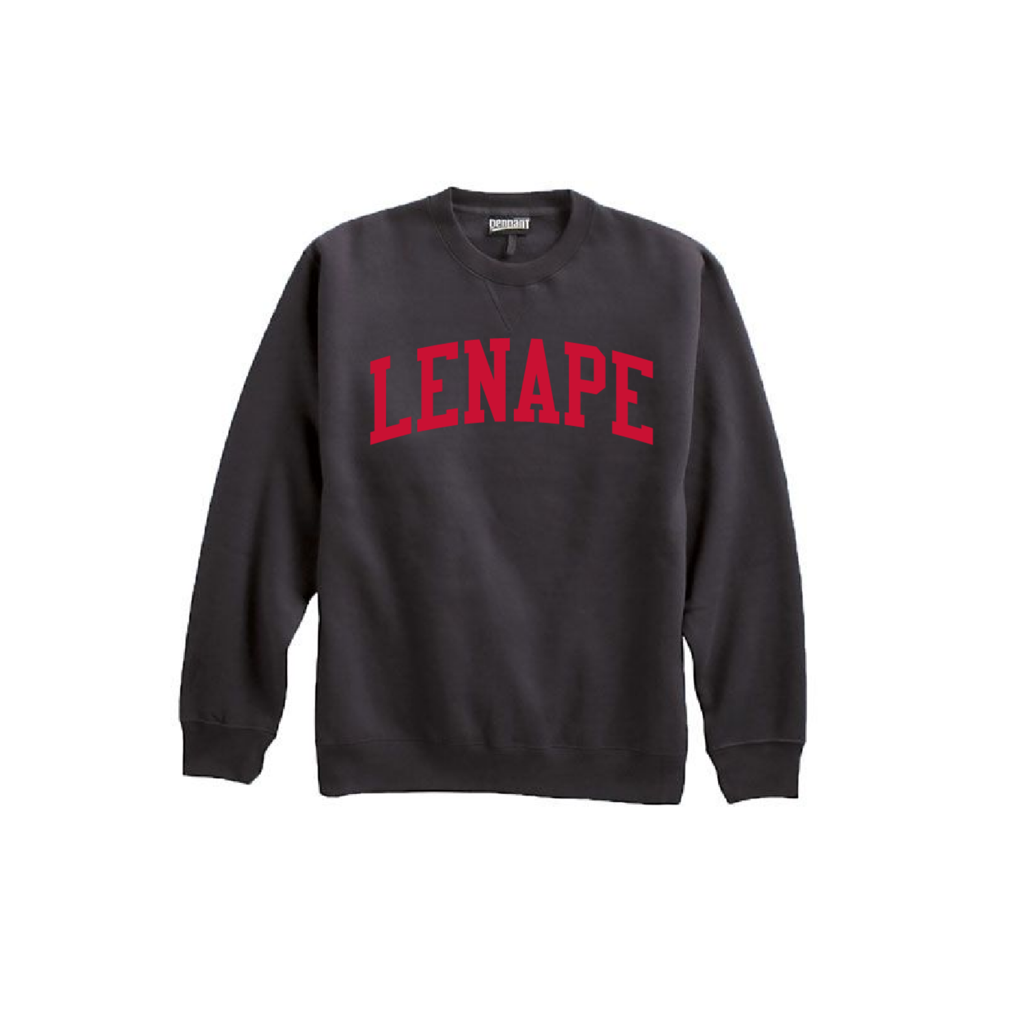 lenape lynx (16).png