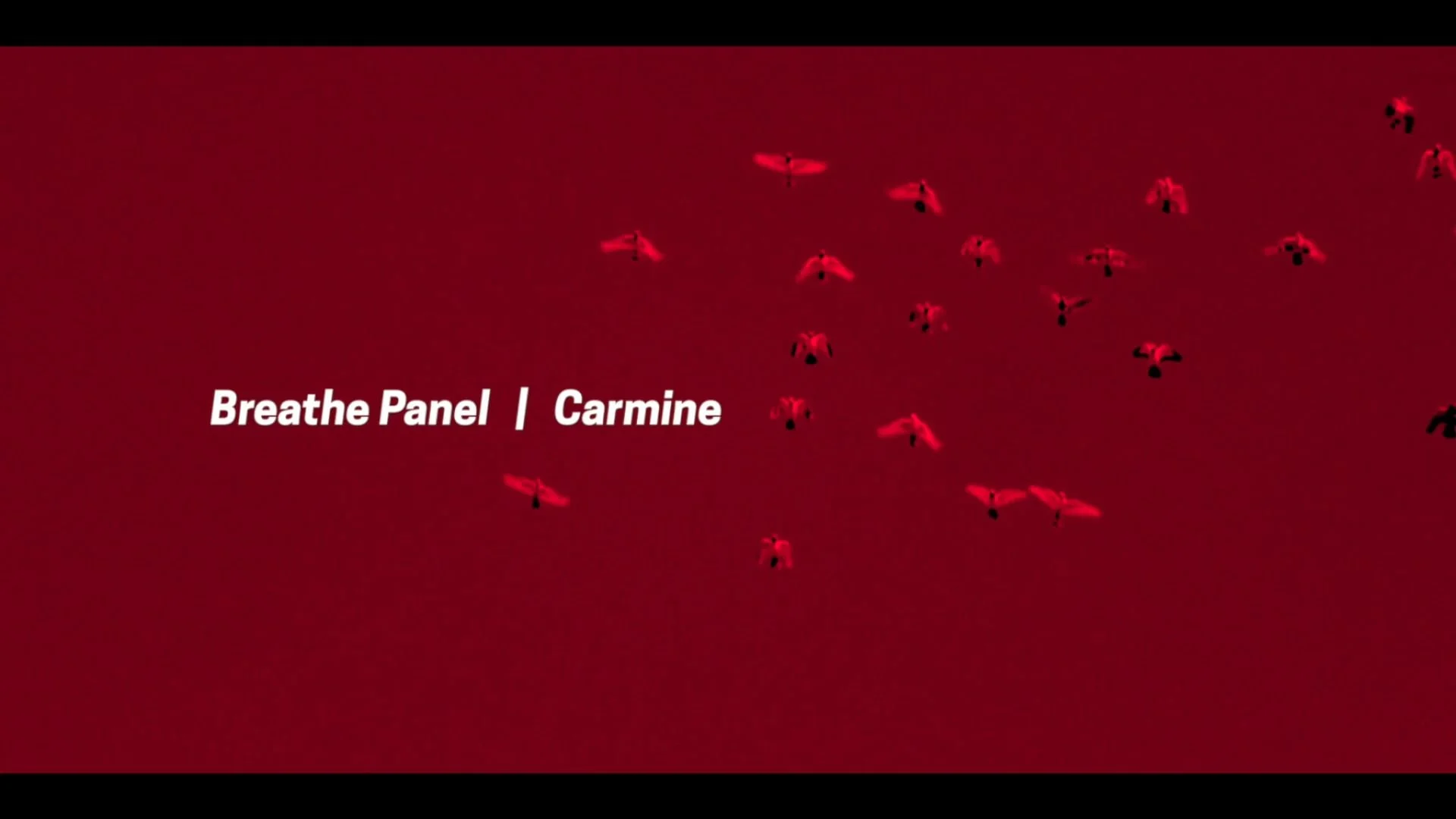 Breathe Panel | Carmine