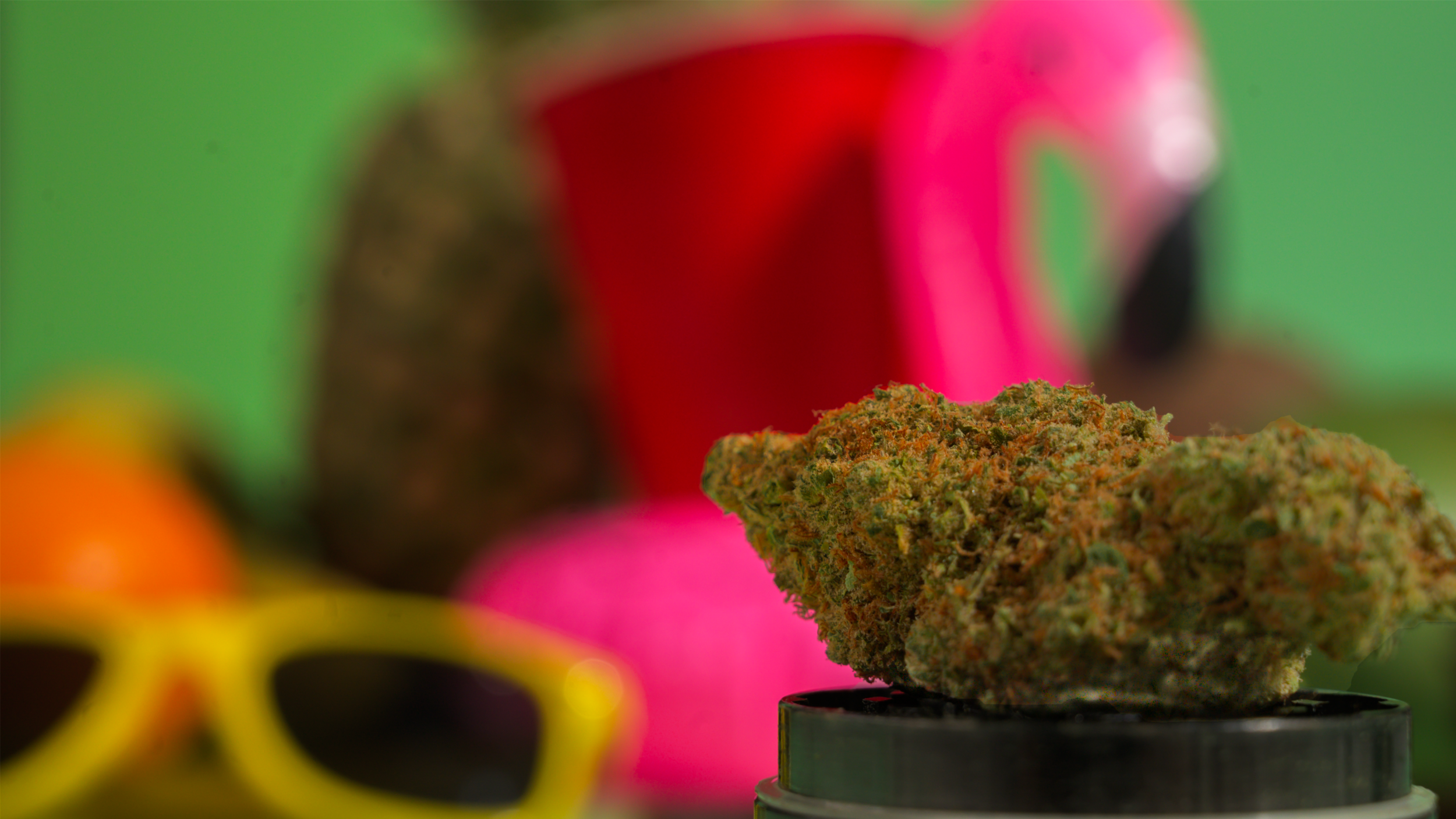 bud fruit.png