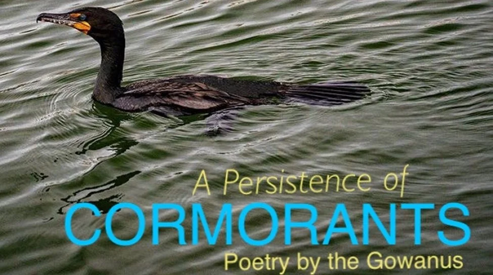 A Persistence of Cormorants - Poetry by the Gowanus