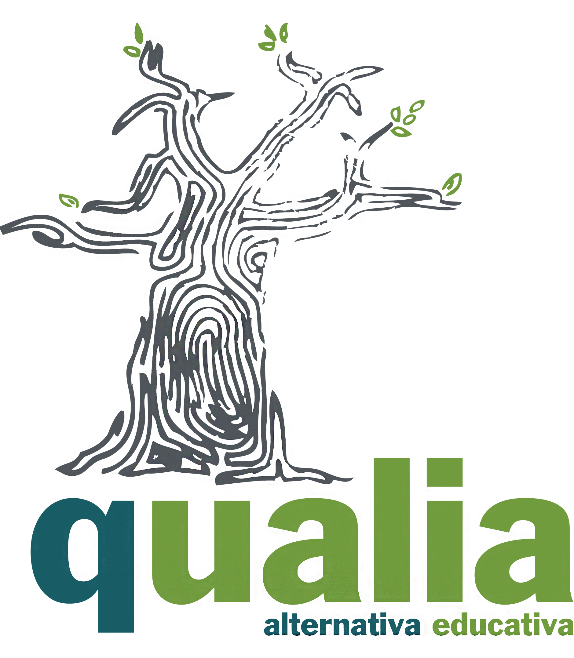 Qualia 