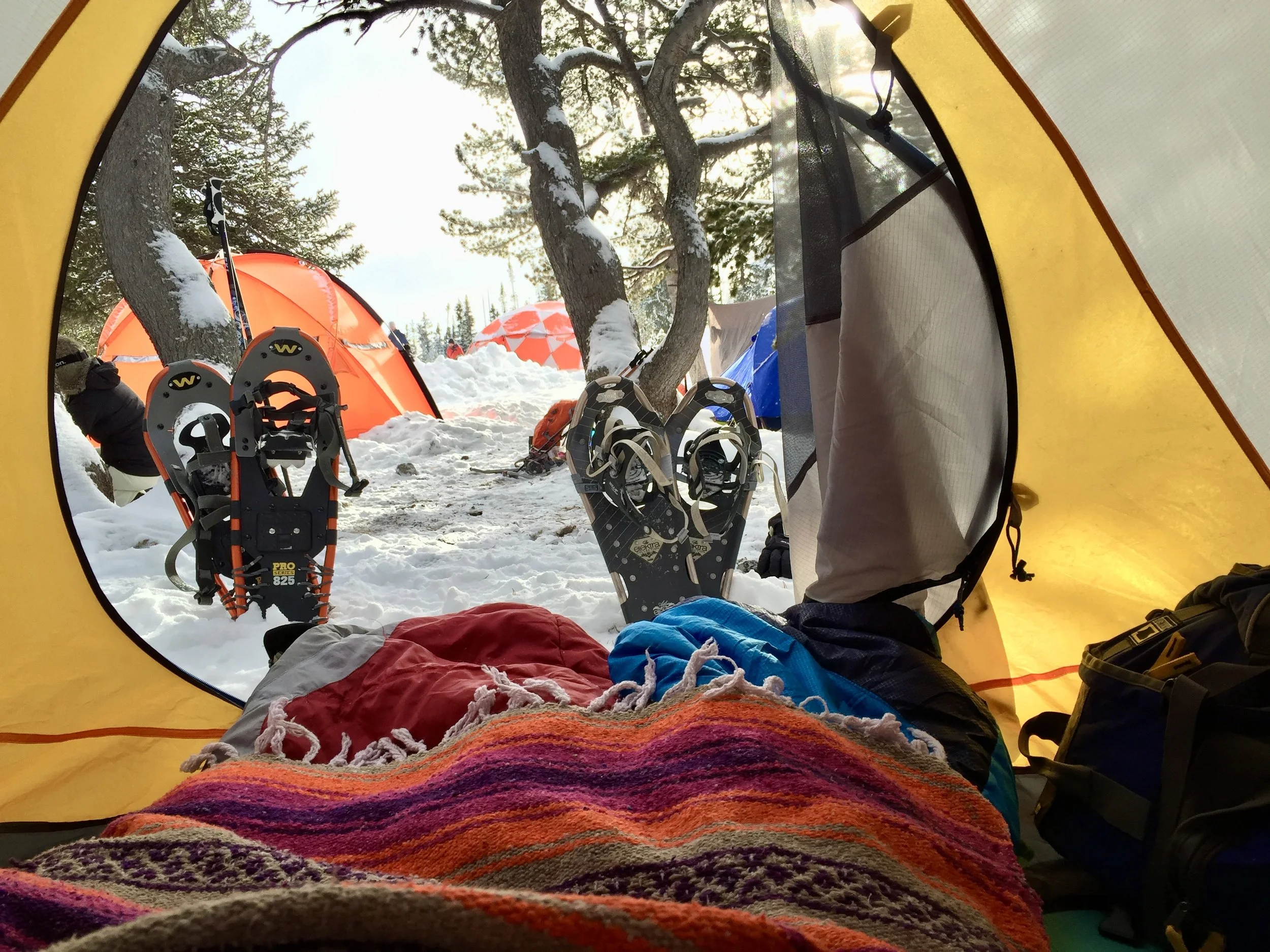 Camping in the snow in Ward, CO