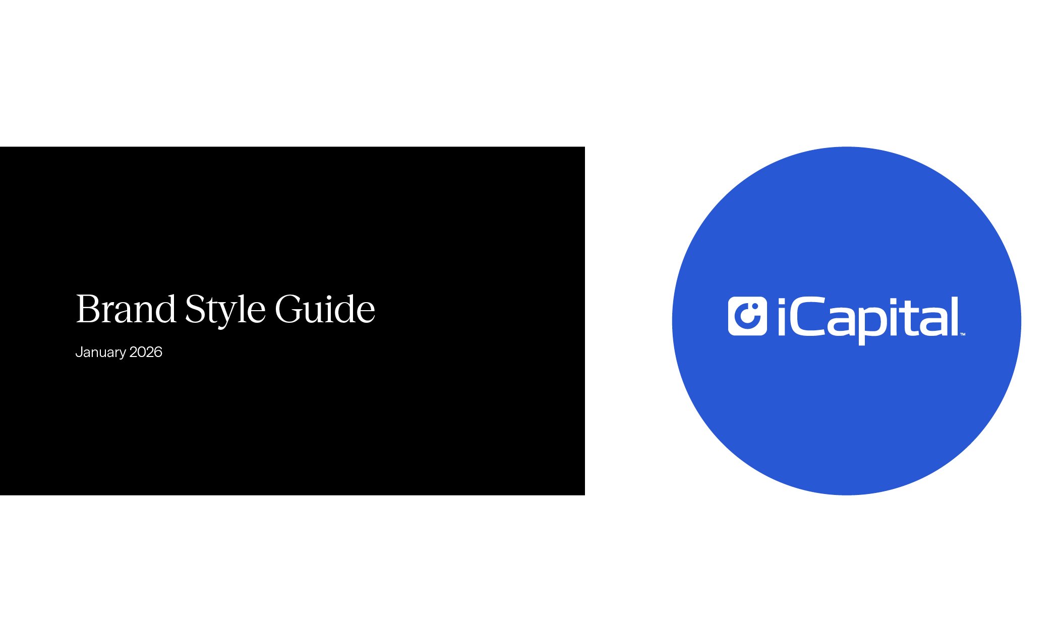 iCapital - Ecosystem Connector - Brand Style Guide.jpg