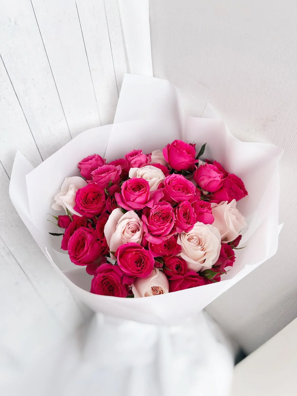 WhatsApp Image 2026-01-02 at 4.17.39 PM.jpeg