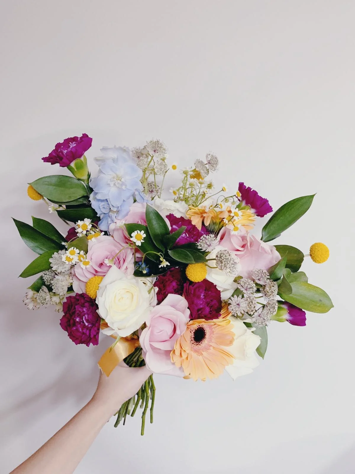 WhatsApp Image 2019-09-23 at 2.59.15 PM.jpeg