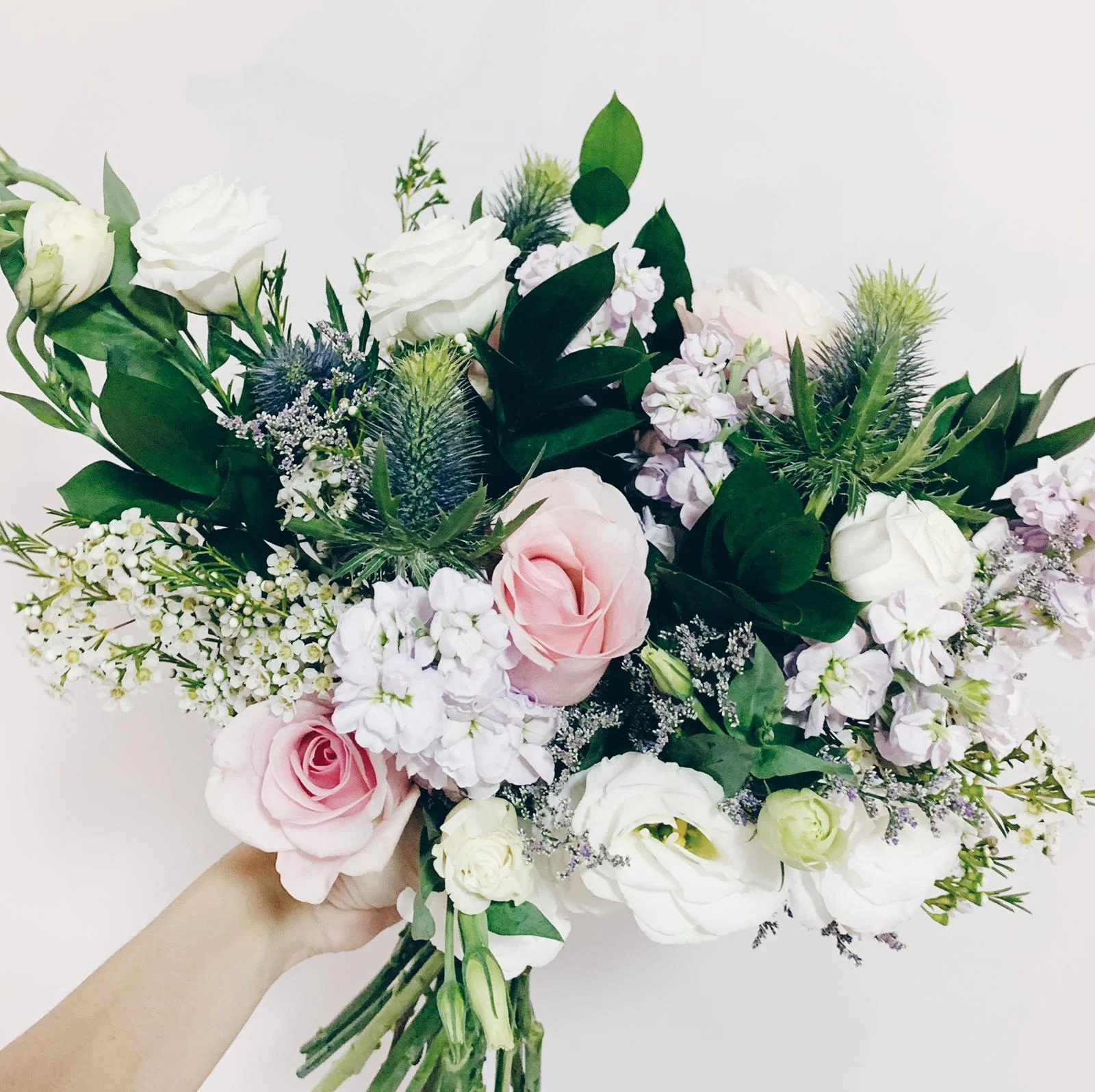 WhatsApp Image 2019-09-29 at 4.55.33 PM.jpeg