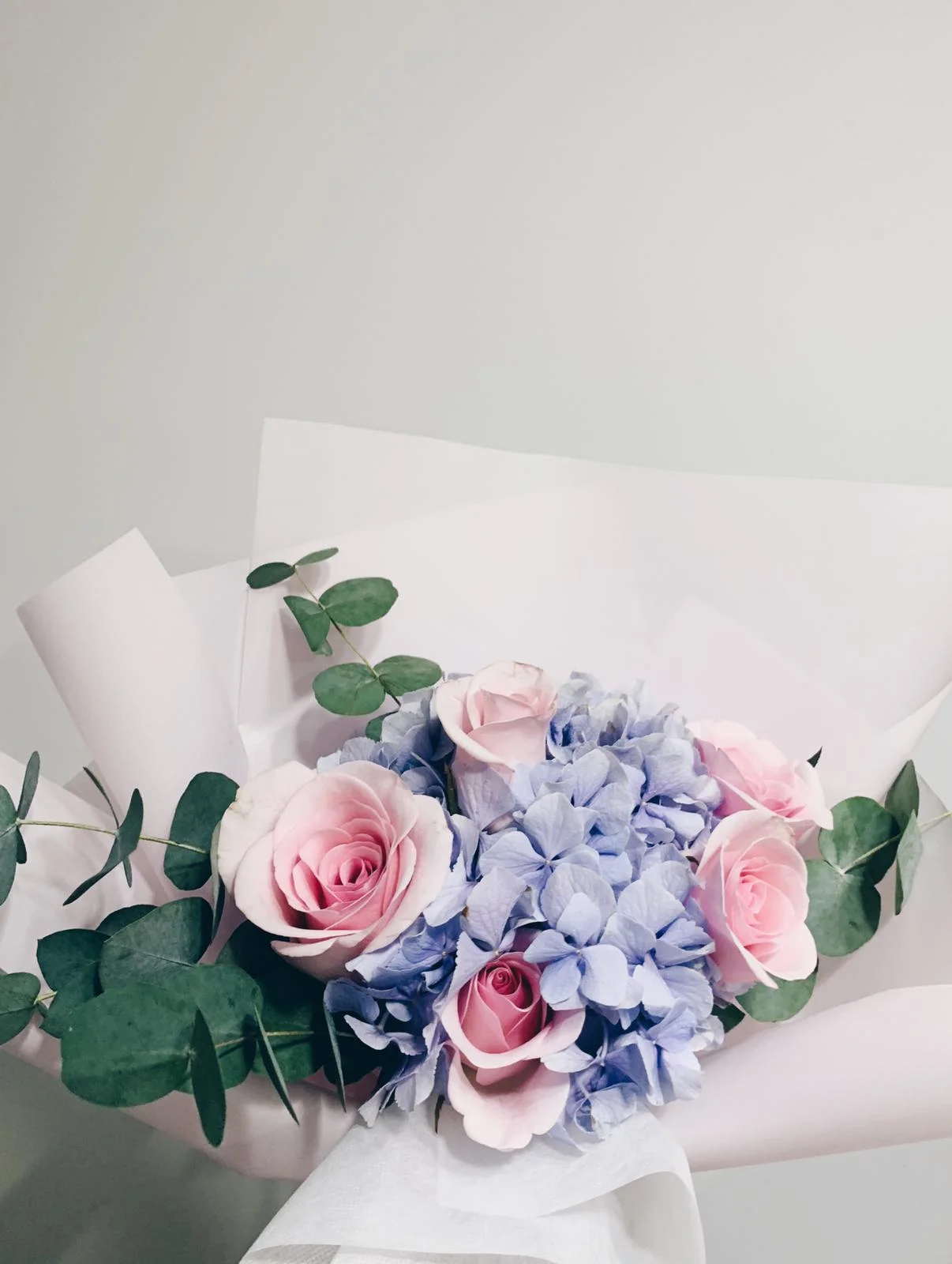 WhatsApp Image 2019-09-29 at 4.54.41 PM (1).jpeg