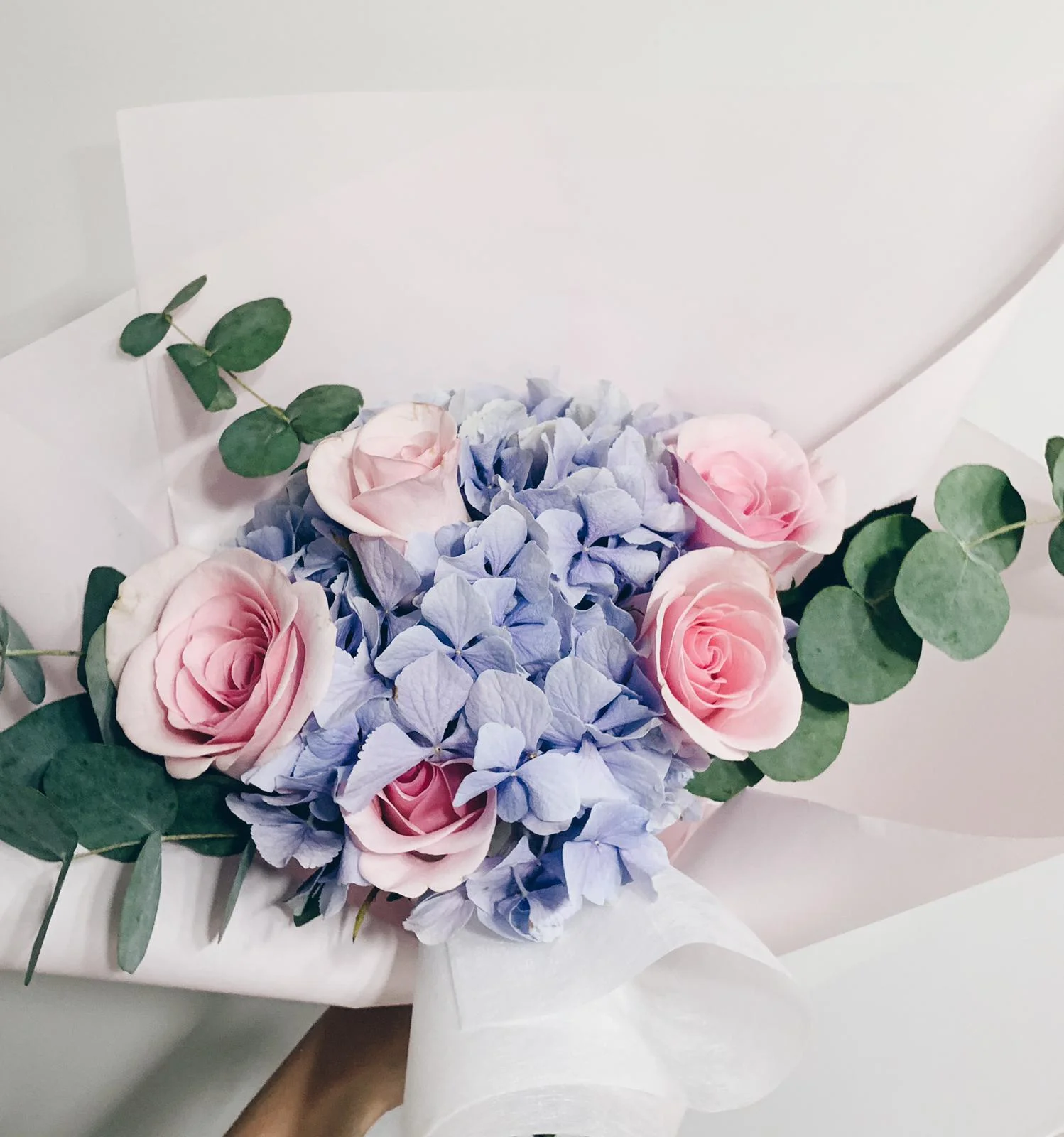 WhatsApp Image 2019-09-29 at 4.54.40 PM.jpeg