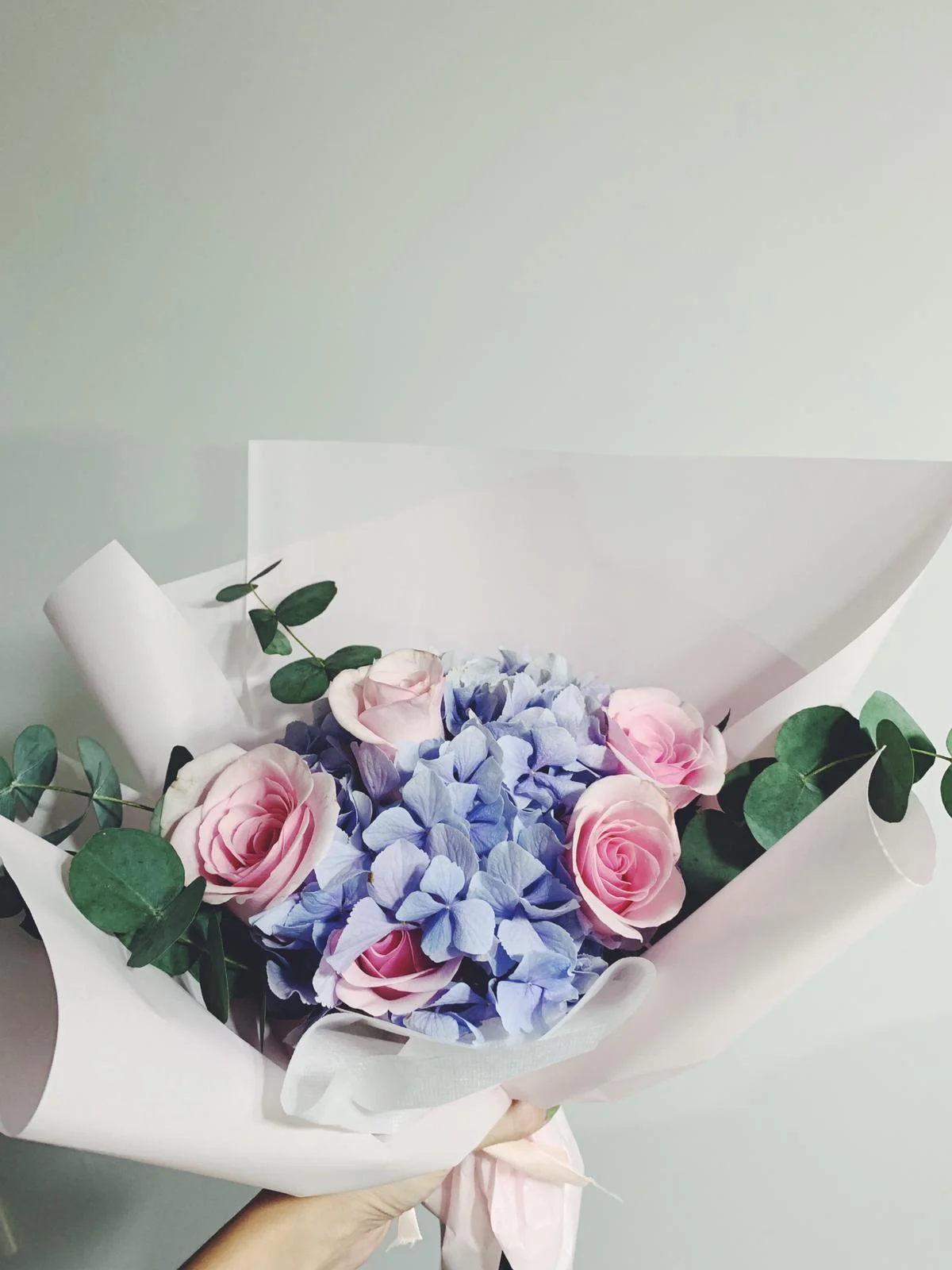 WhatsApp Image 2019-09-29 at 4.54.42 PM.jpeg