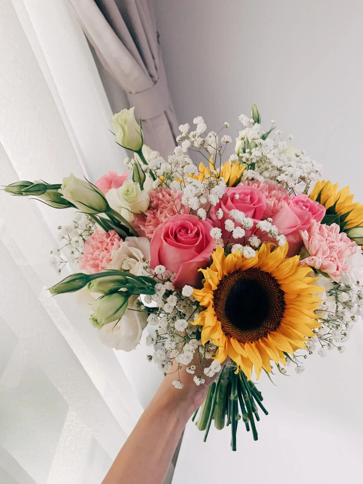 WhatsApp Image 2019-11-21 at 10.19.05 AM.jpeg