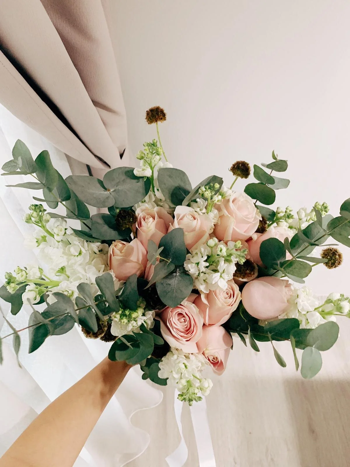 WhatsApp Image 2020-01-08 at 6.10.08 PM.jpeg