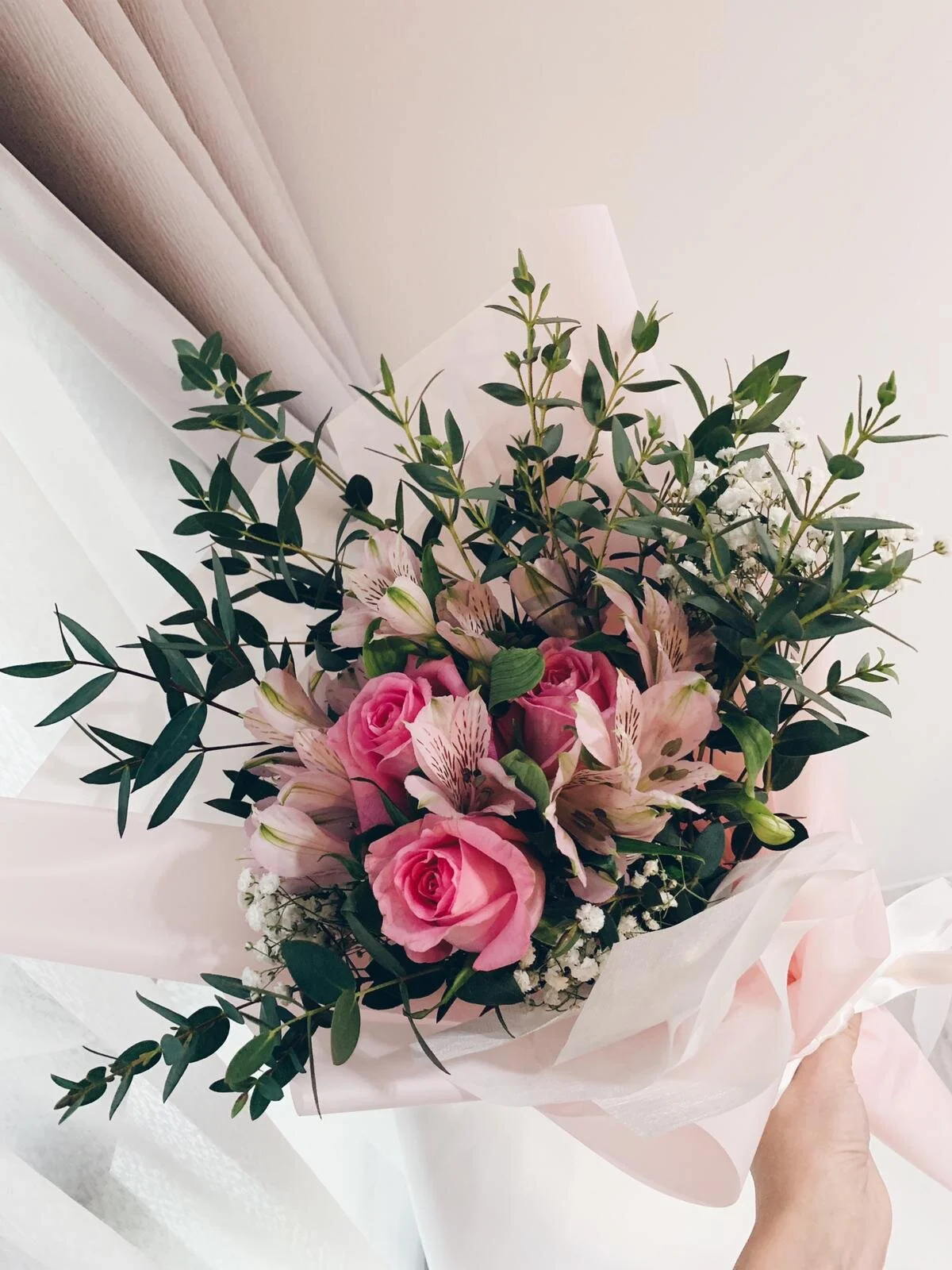 WhatsApp Image 2020-01-19 at 9.29.46 AM (1).jpeg