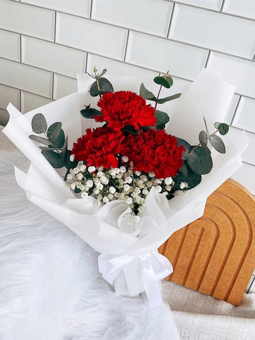 Carnations 7.jpeg