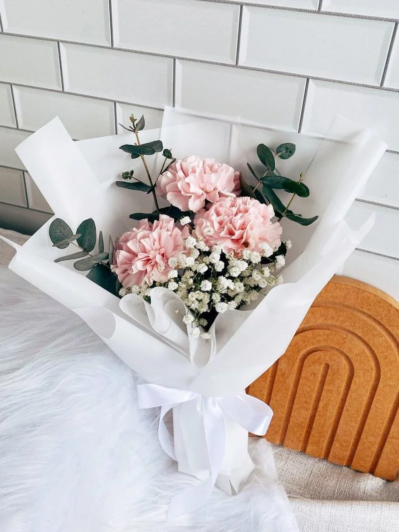 Carnations 8.jpg