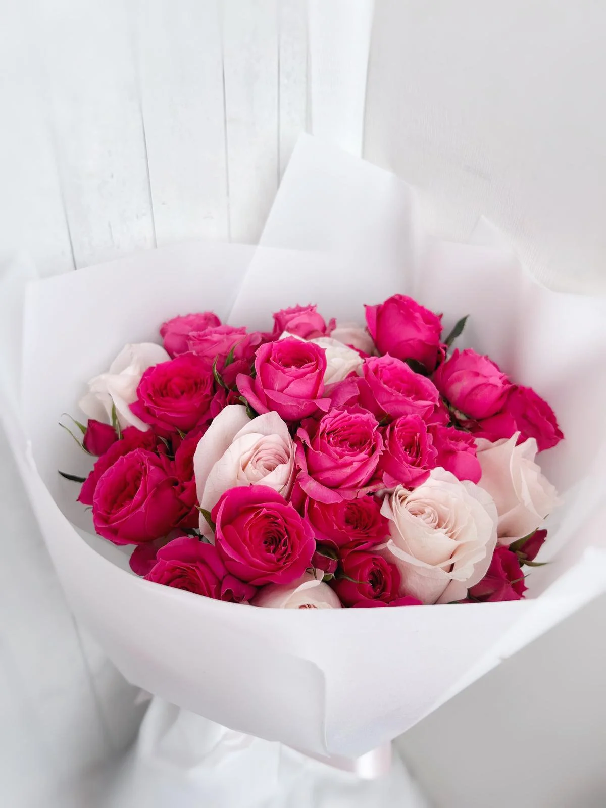 WhatsApp Image 2026-01-02 at 4.17.33 PM.jpeg