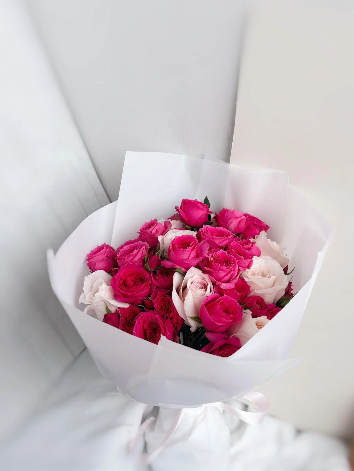 WhatsApp Image 2026-01-02 at 4.17.40 PM (1).jpeg