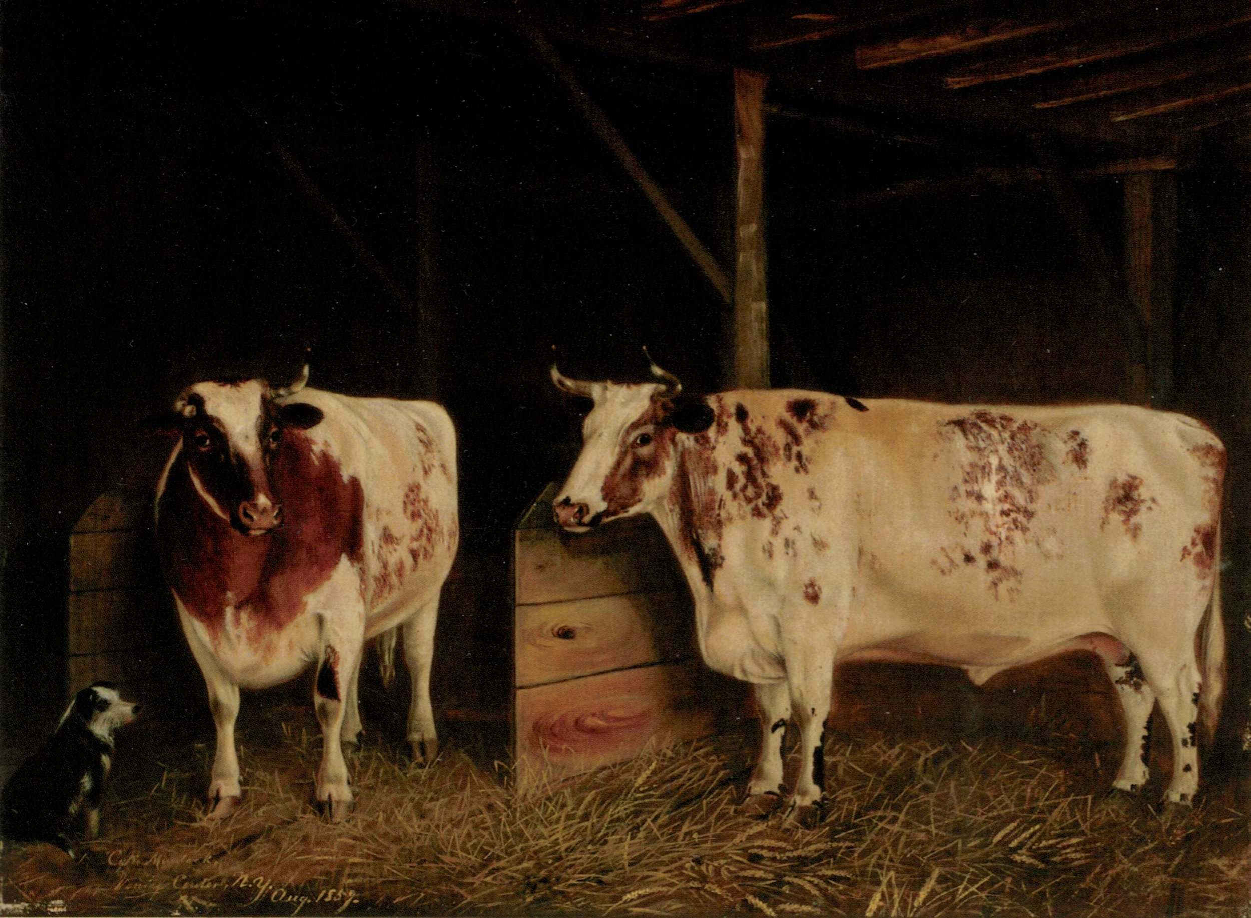 Oxen-painting_web.jpg