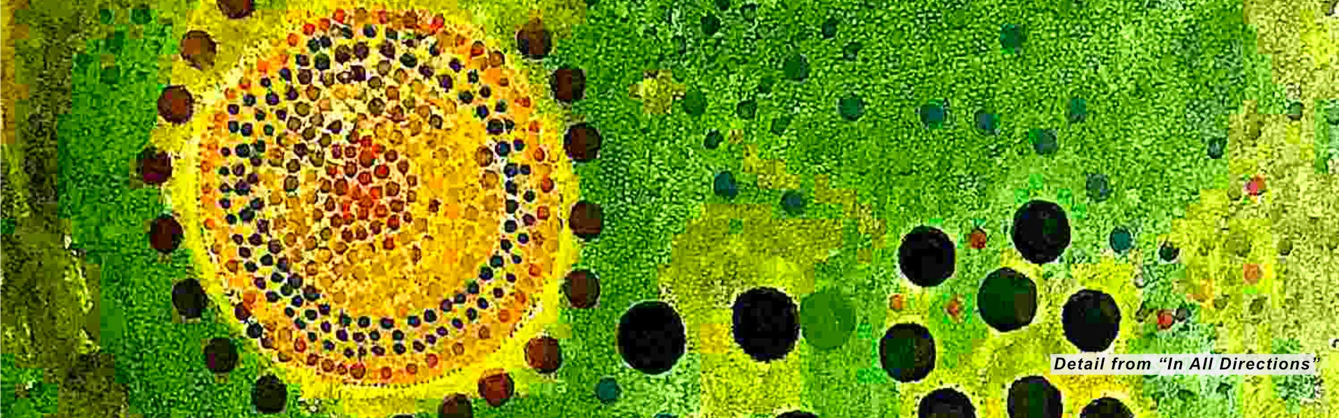 detail-in-all-directions.jpg