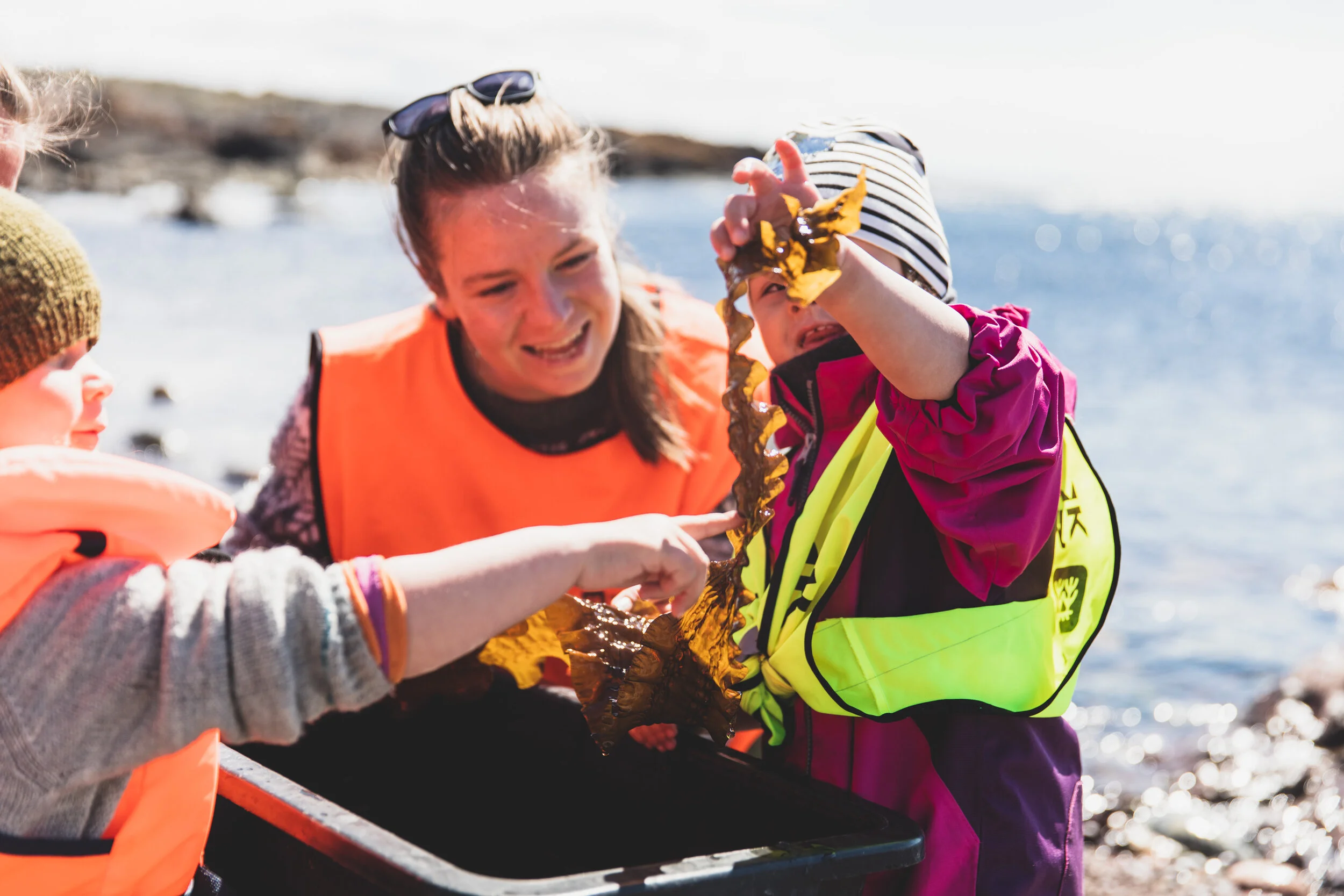 Fielt trip and edutainment in the littoral zone under a beach cleaning in May 2019.  Photo: Line Hårklau