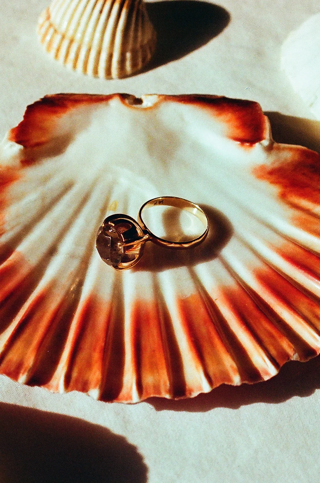 Sours &amp; Seashells