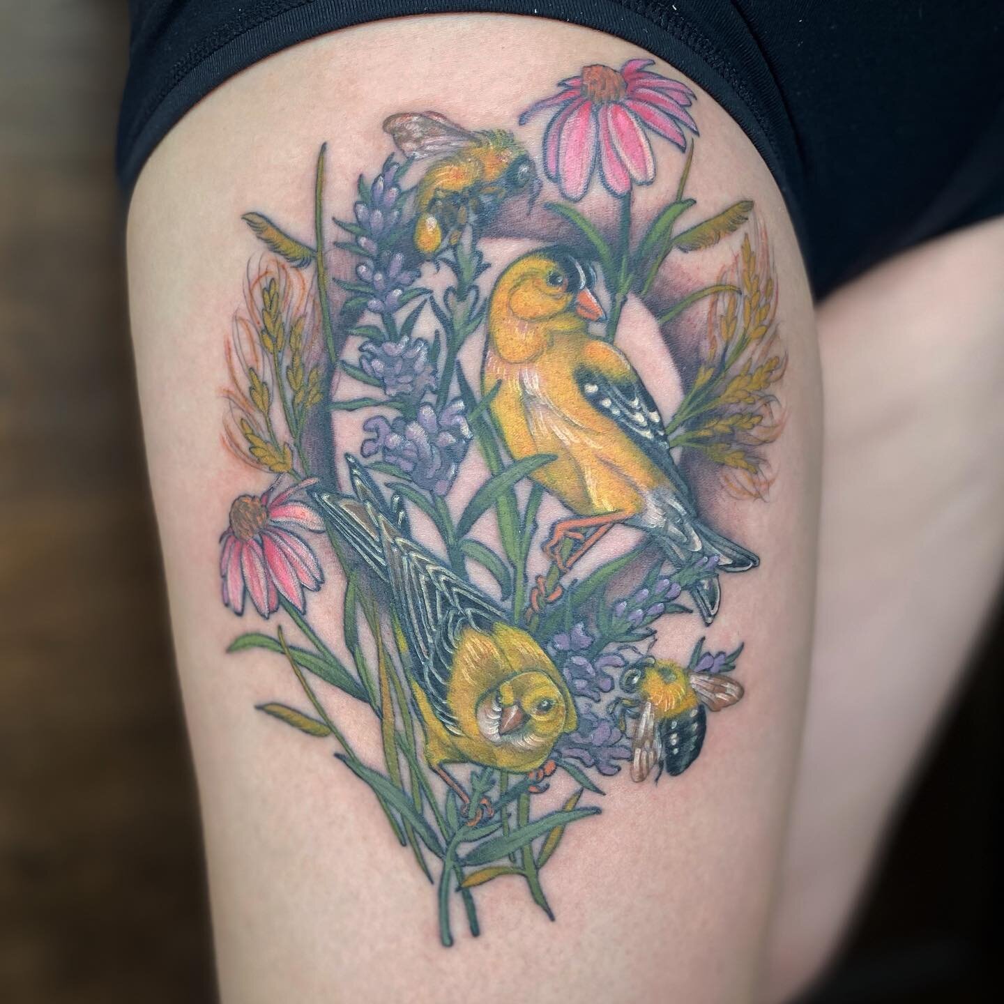 American Goldfinches for Lucy! Goldfinches can be identified by their signature &ldquo;po-ta-to chip&rdquo; call, and their Latin genus name &ldquo;Caruelis&rdquo; comes from the word for thistle, a primary food source for them. Thanks so much Lucy! 