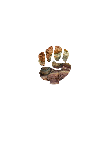 Sisters in Leadership Training