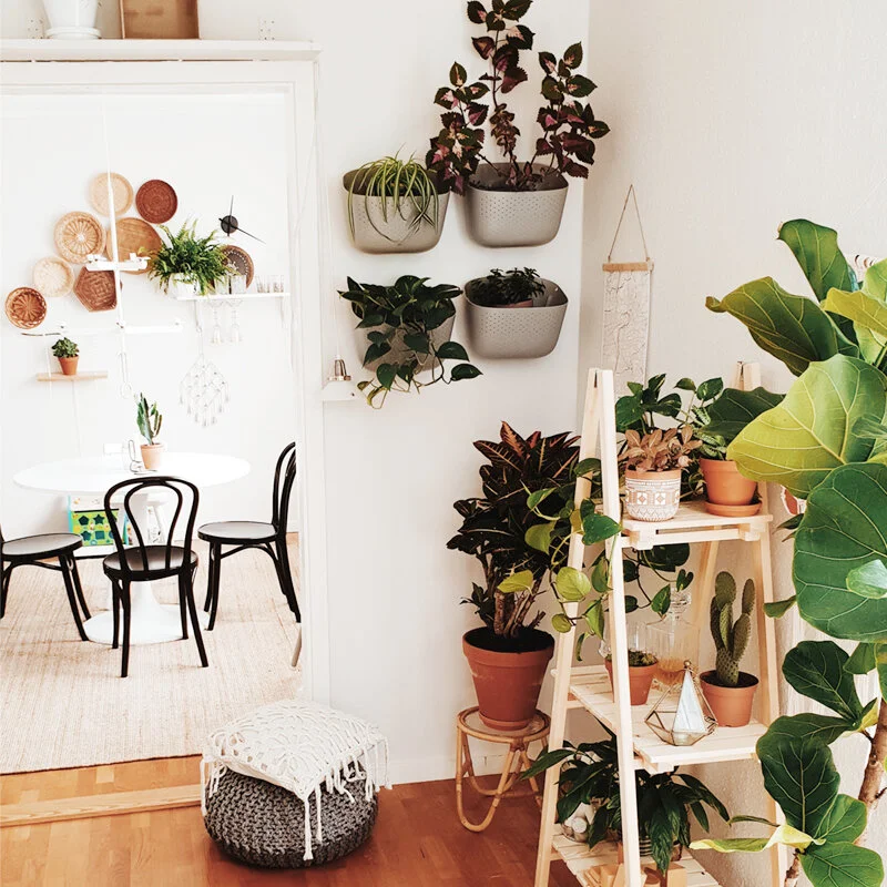 Living Room four stone ecos.jpg