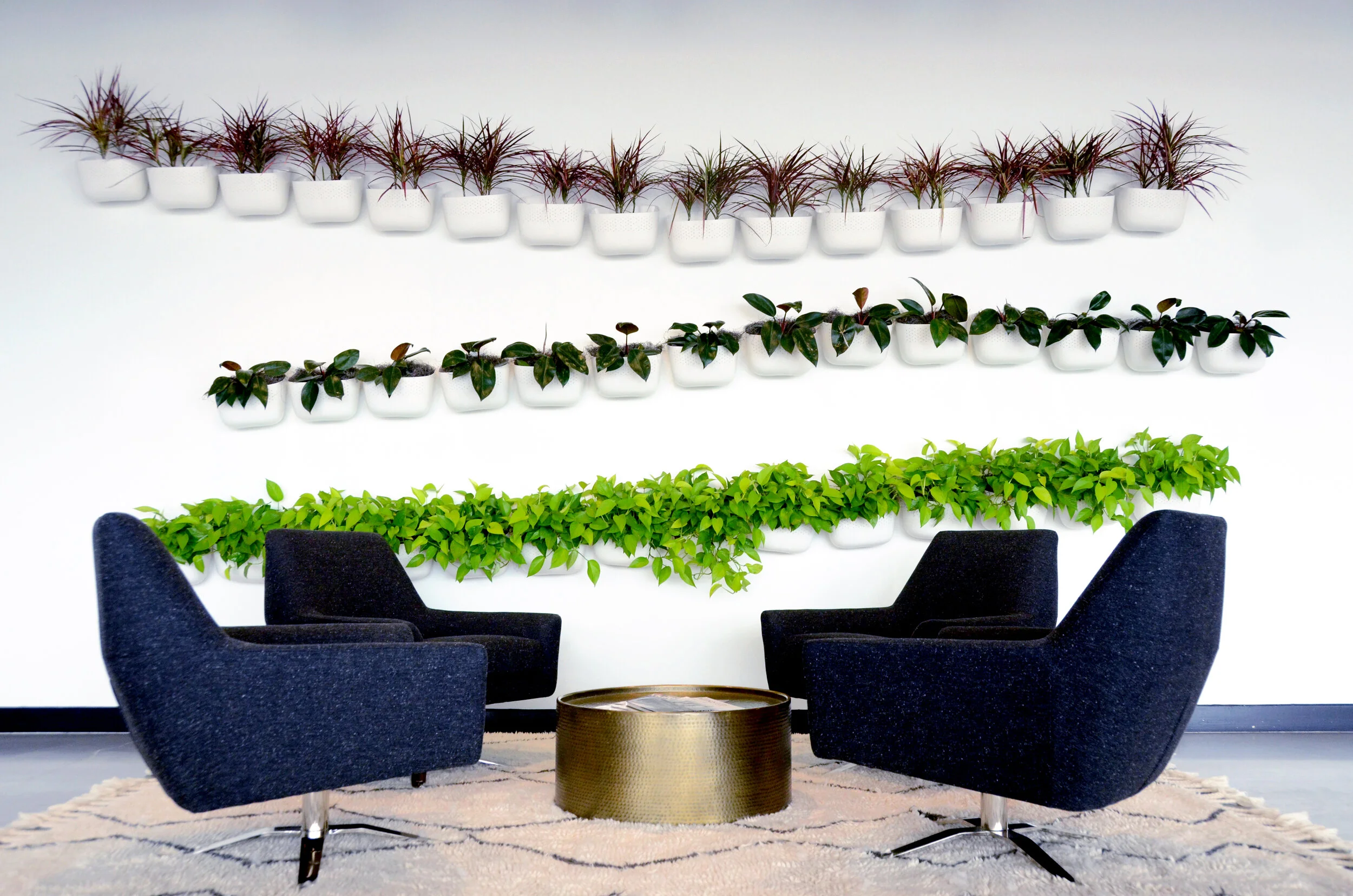 White Eco Office Setting.jpg