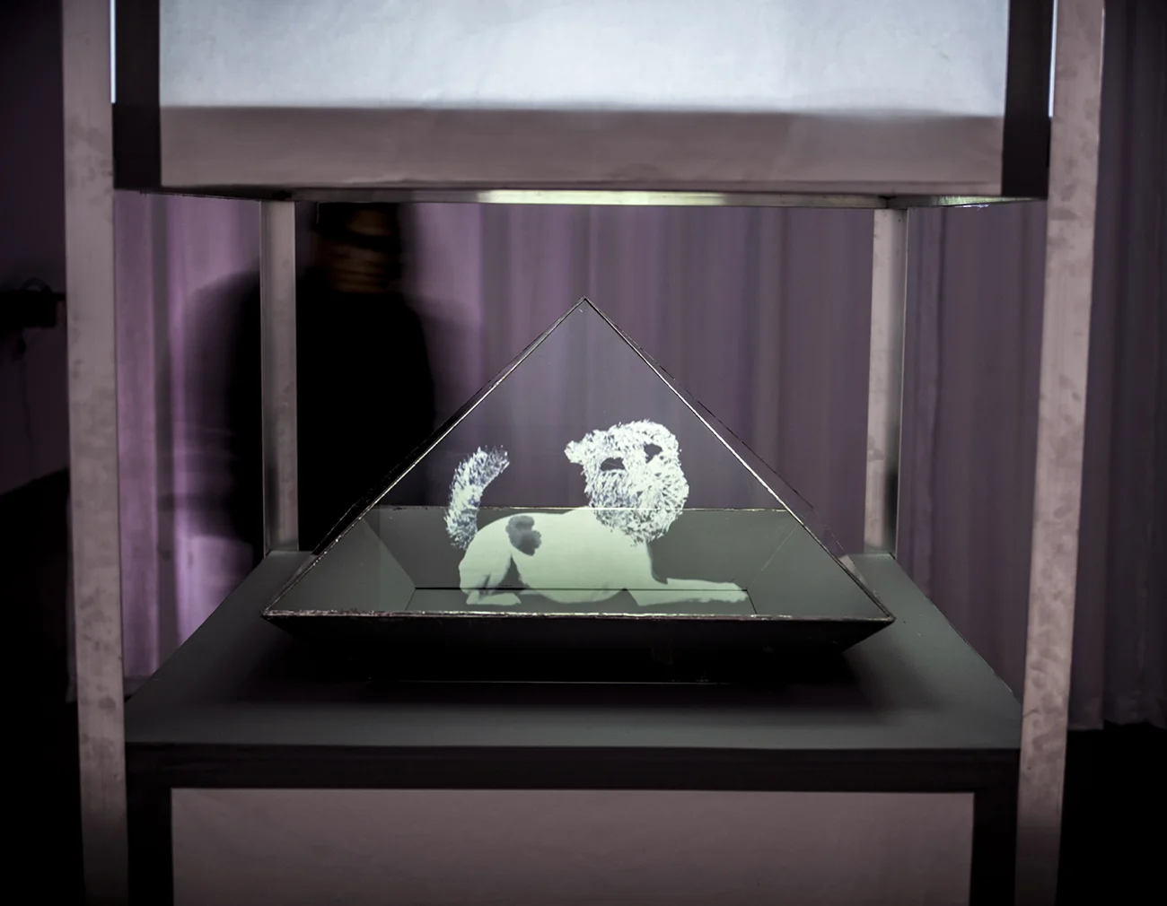   Gate-keeper , aluminum, wood, glass, video hologram, 4’ x 4’ x 8,’ 2017 (photo: Keith Carlsen) 