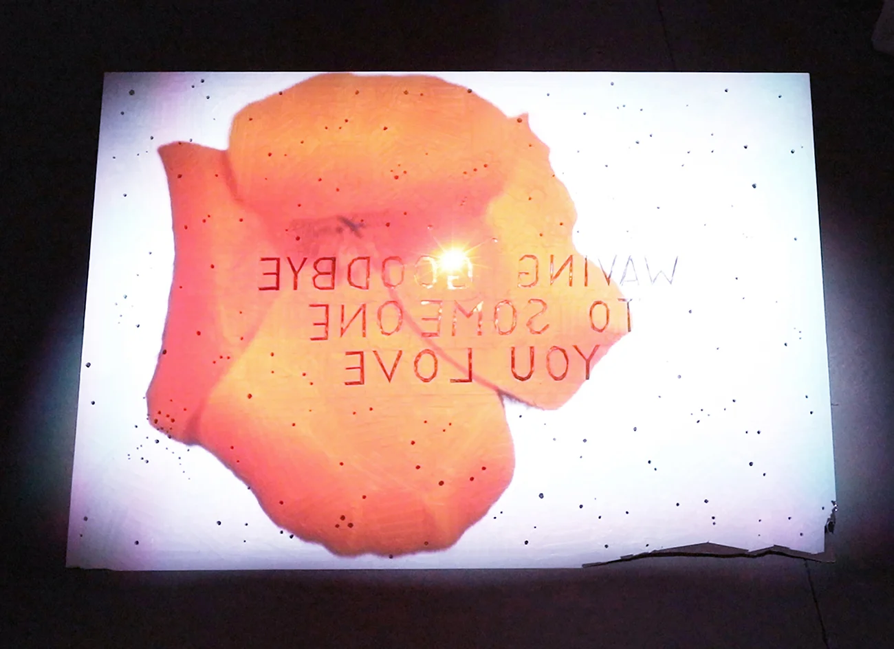   Artemis &amp; Orion , found mirror, artist tape, video projection, 31” x 45” (sculpture dimensions), 2017 (photo: Keith Carlsen) 