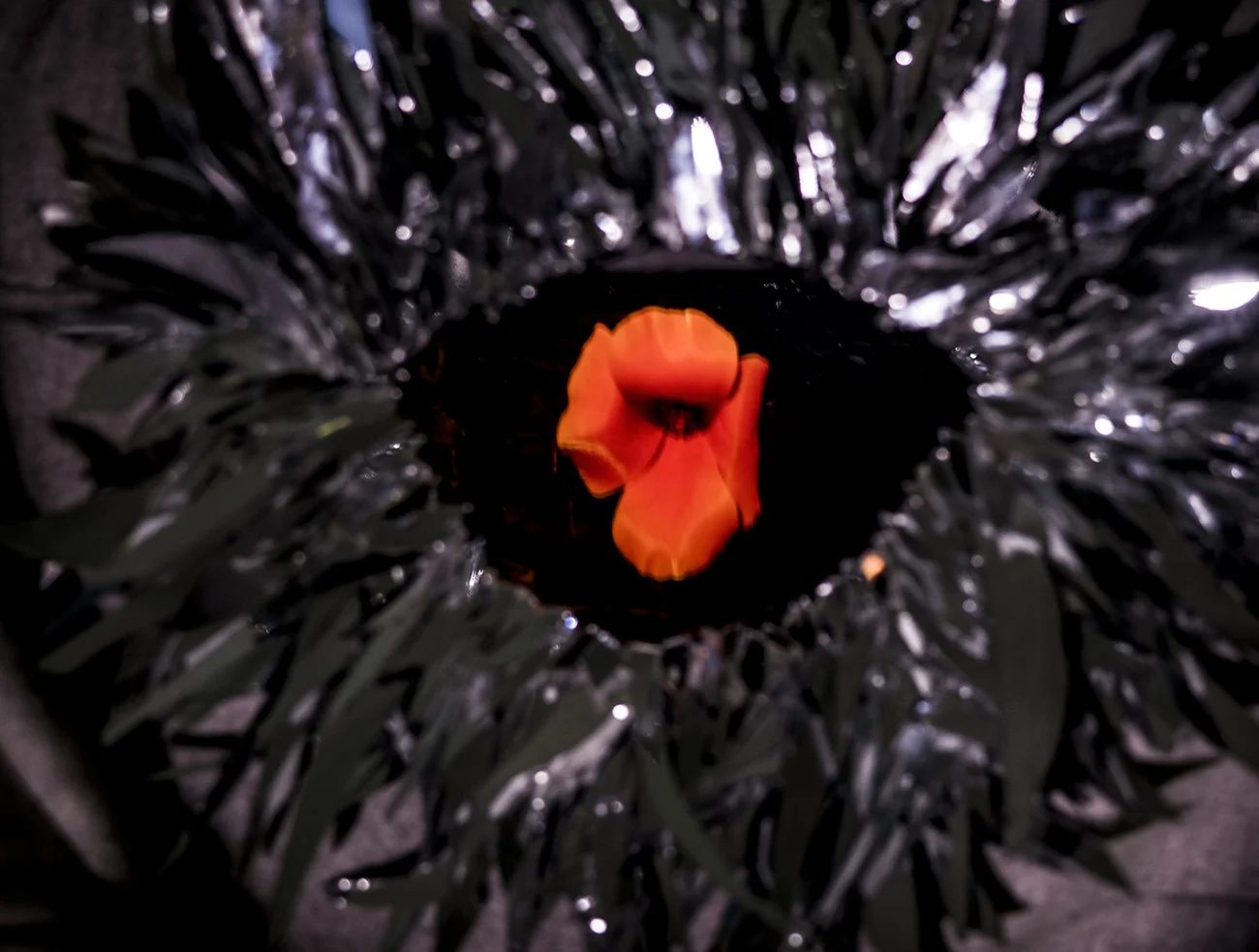   Generations of madness precede us  (interior detail), found objects, mirror shards, video, 29” x 33” x 44,” 2017 (photo: Keith Carlsen) 