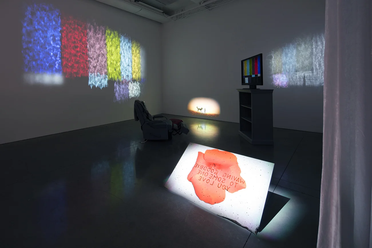   On hunting, on haunting, the flip side and the magic between the divide  (exhibition view), 2017 (photo: Michael Underwood) 