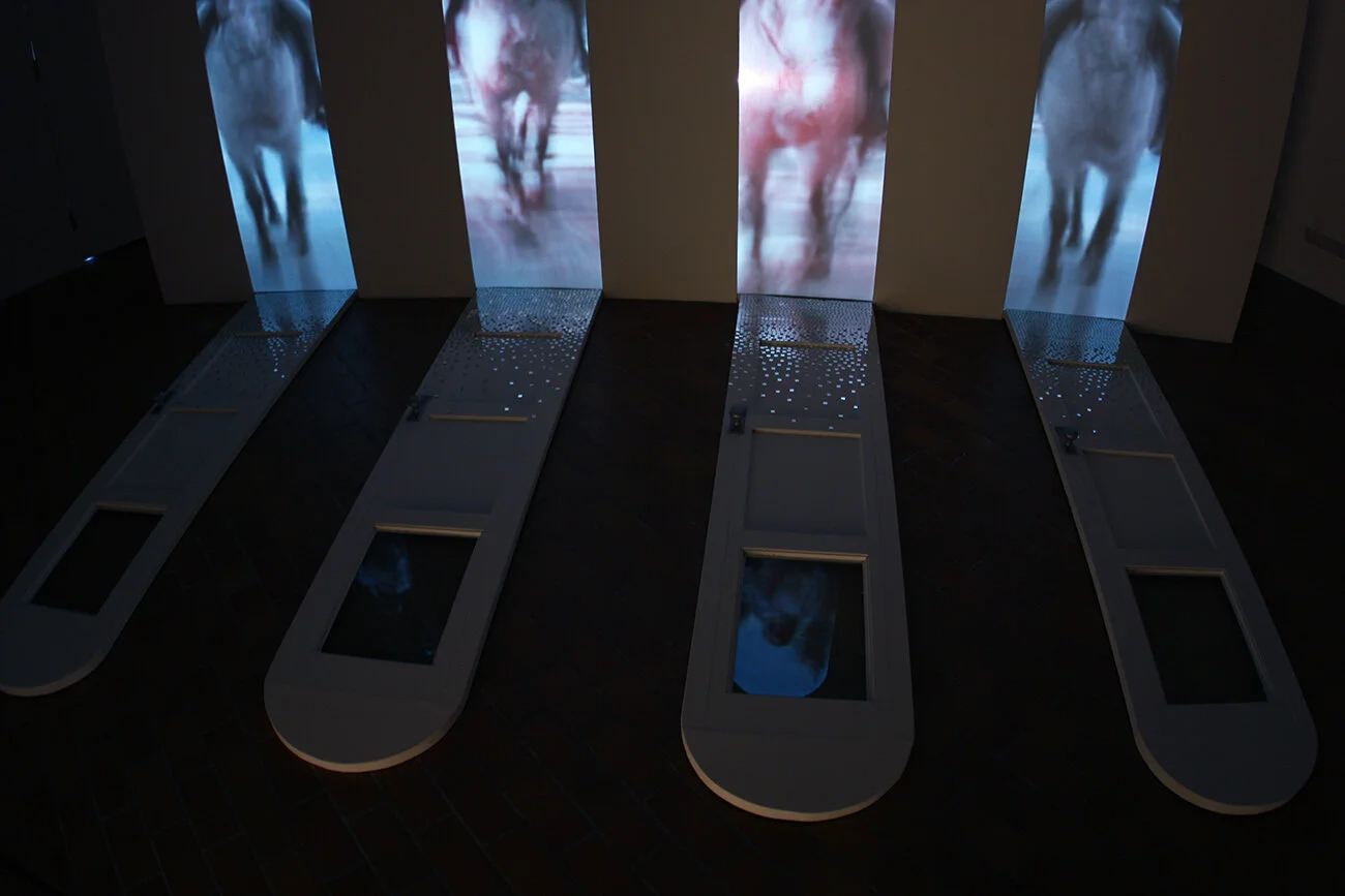   Revelations1111 , single-channel video installation, costume design, 12’ x 18’ x 8,’ 2010 (photo: Caitlind r.c. Brown) 