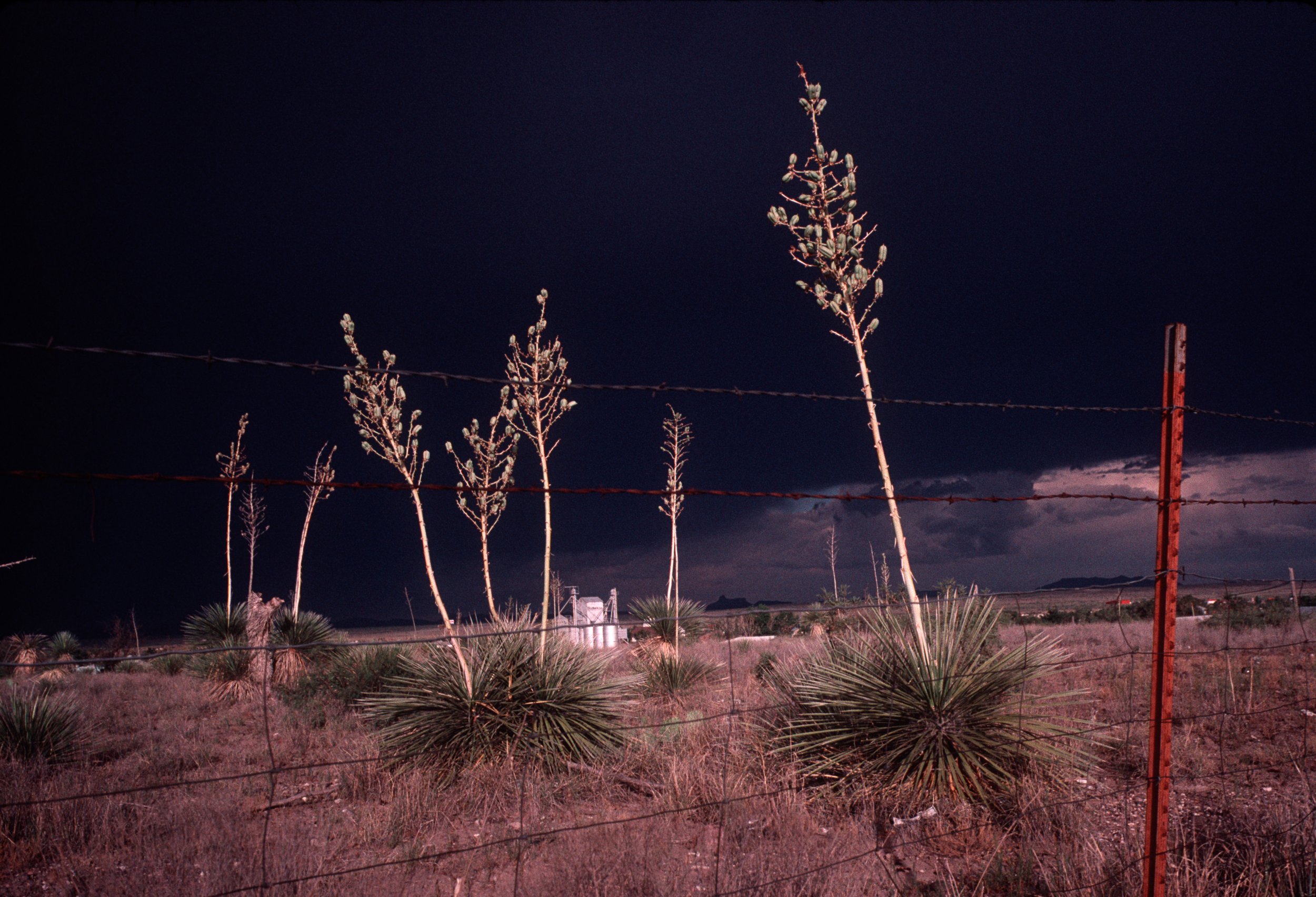  Marfa, Texas, 2001 