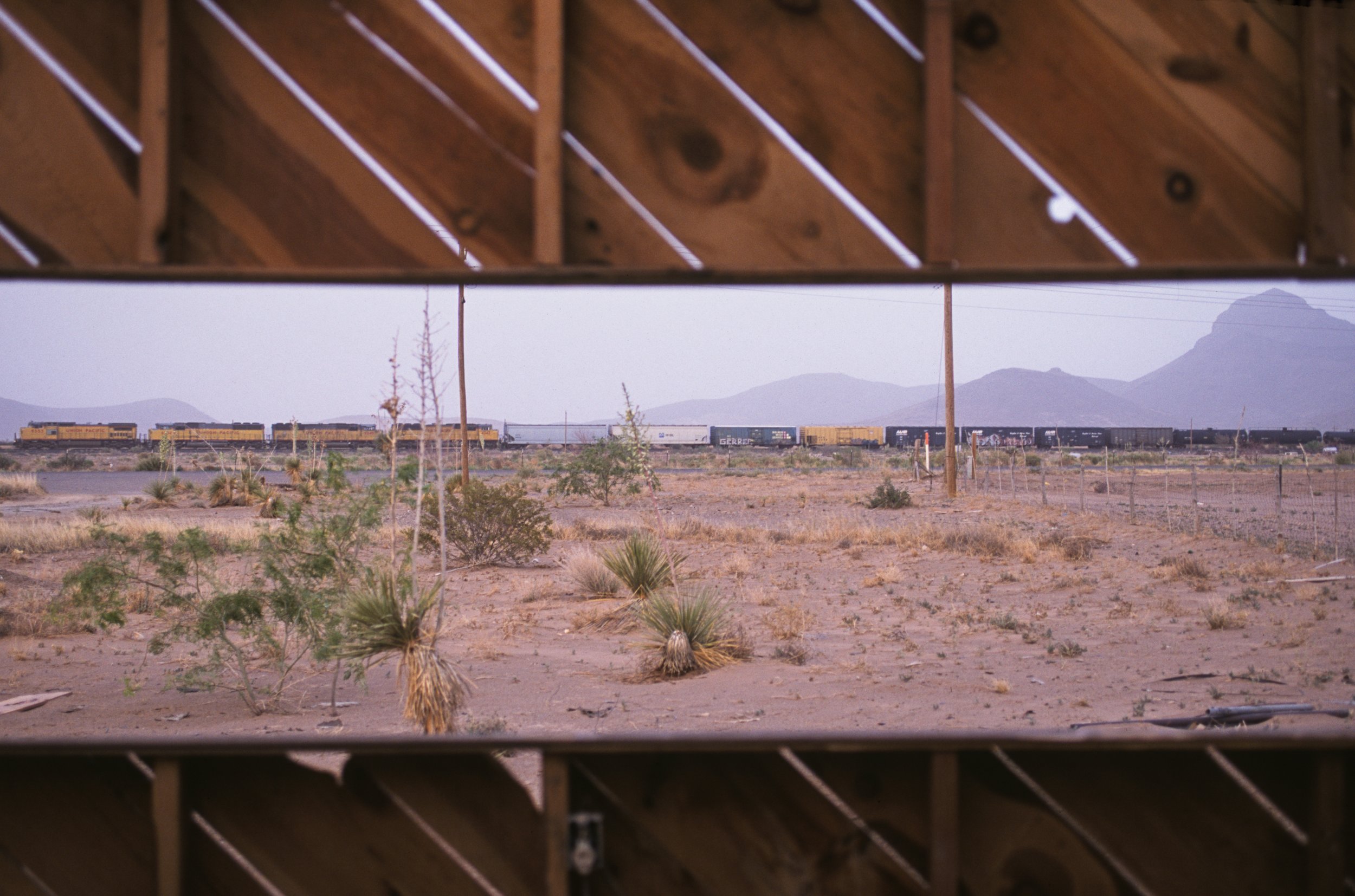  Lobo, Texas, 2003 