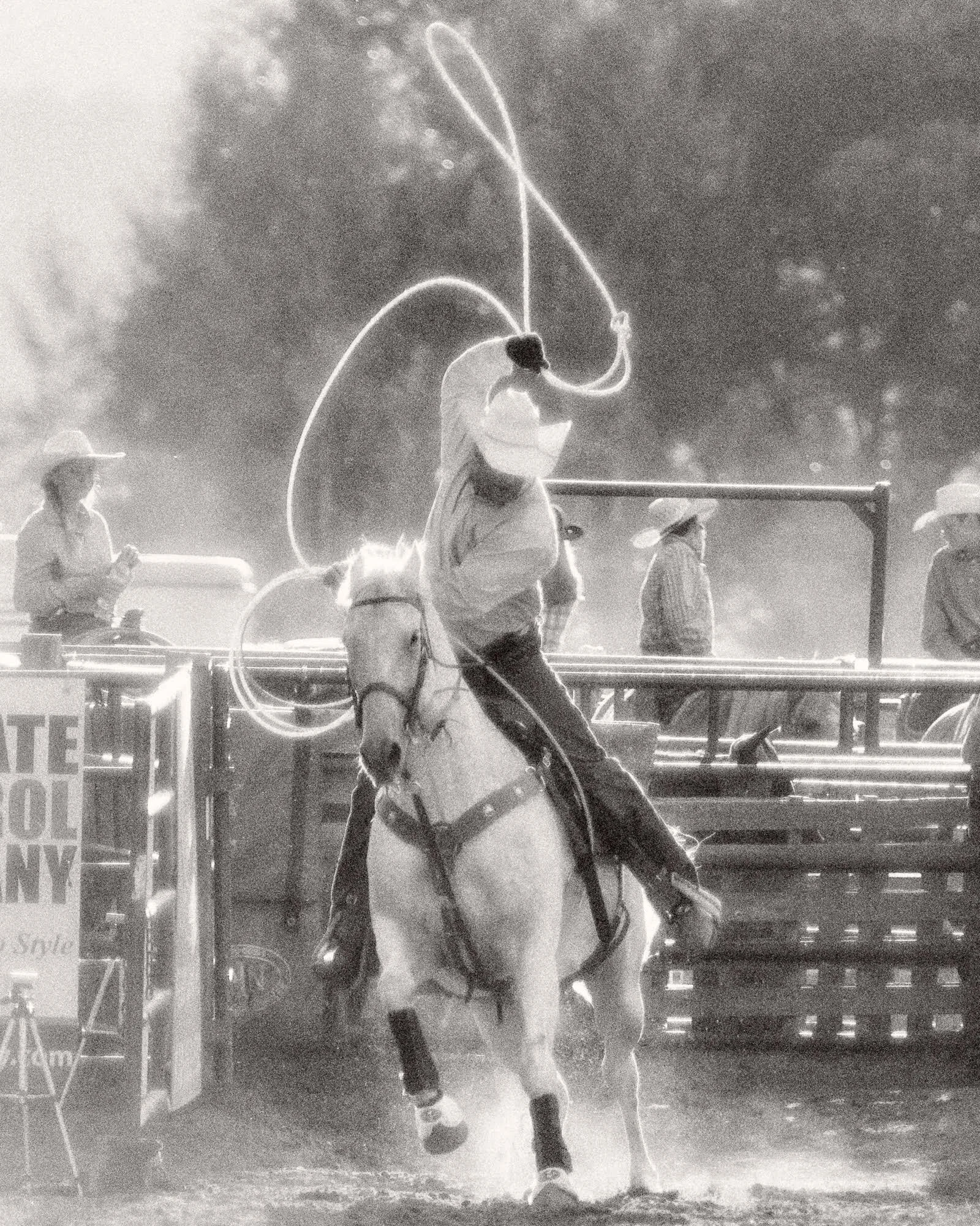 Ropes and Reins, Joy and Pain: George Hendrix — Carbondale Arts