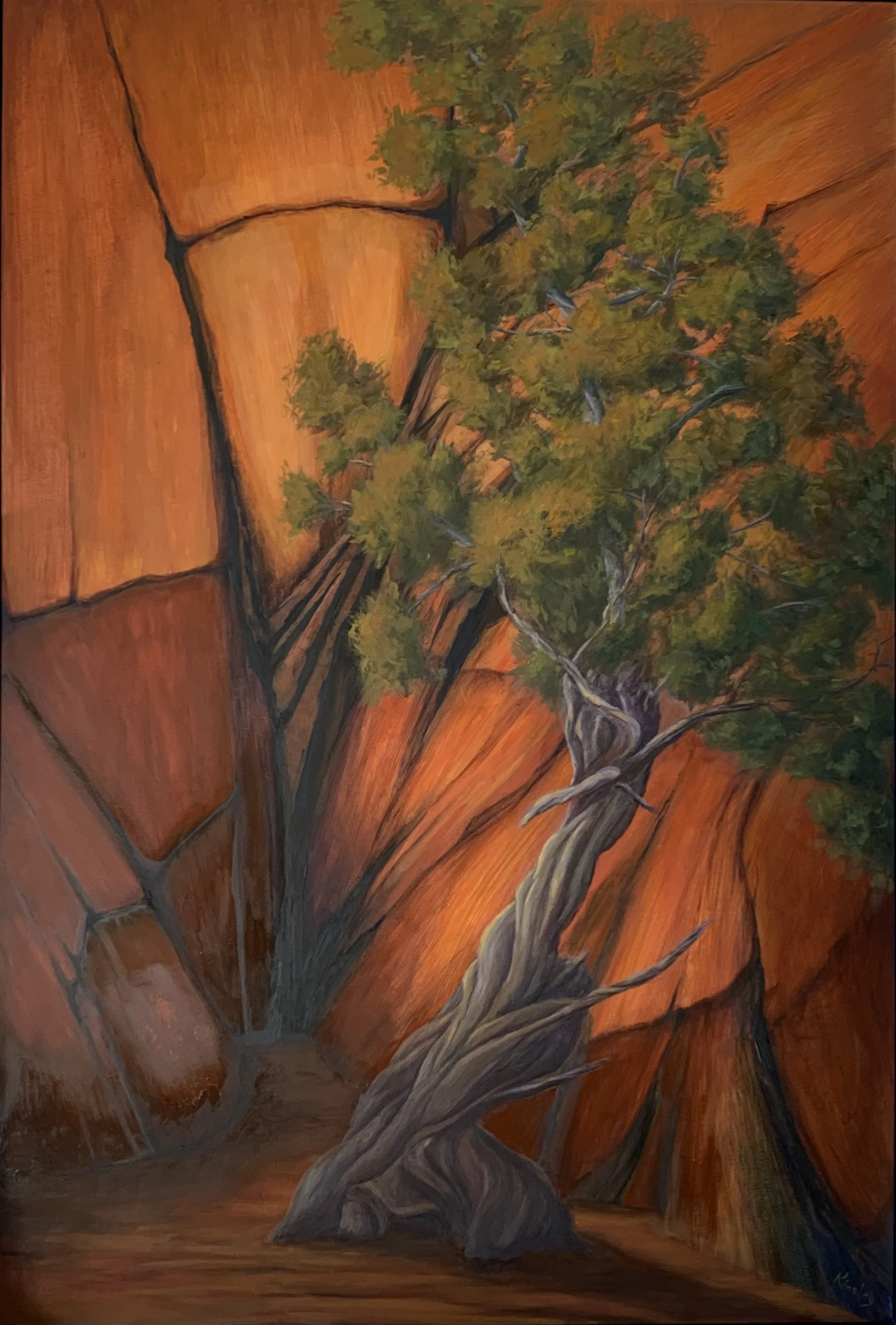 Juniper Alcove 56x38”.jpeg