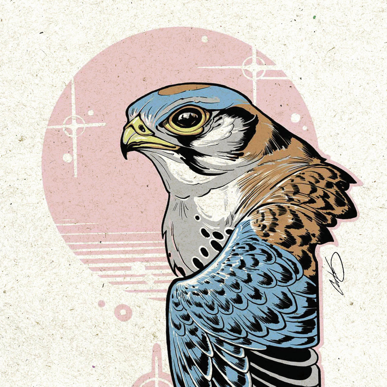 VISCERAL ALCHEMY May '26