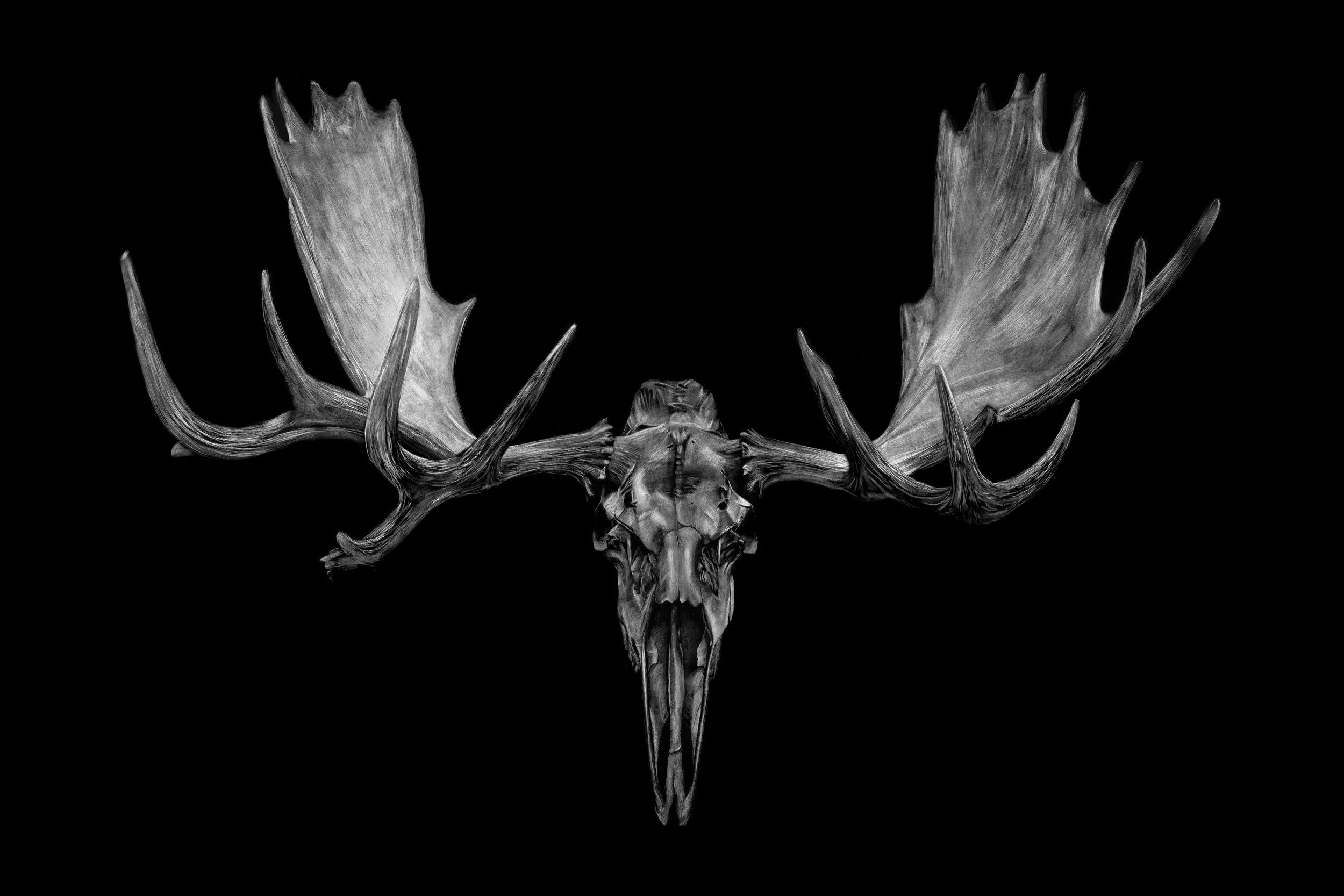 Open Season.jpeg