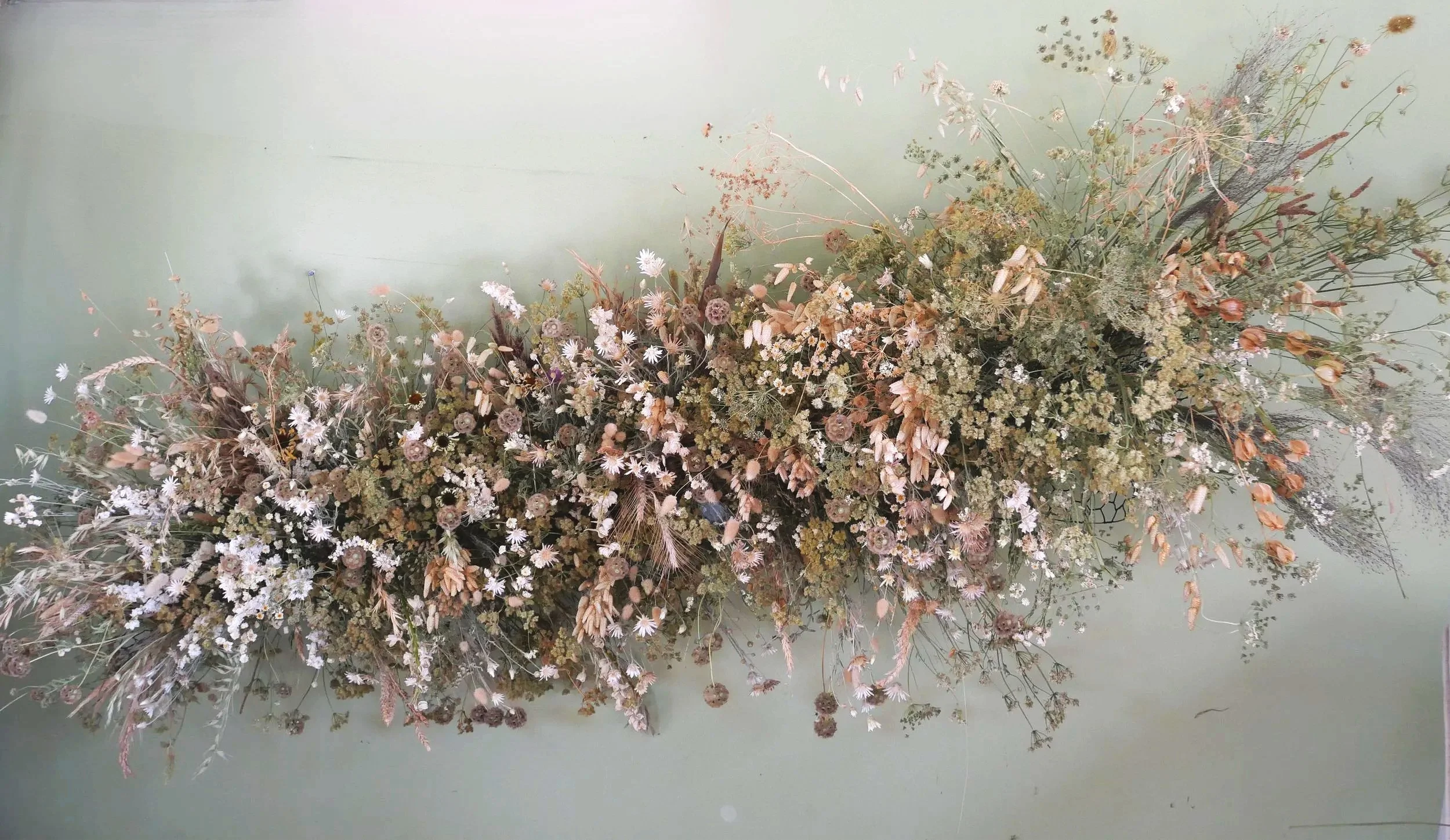 Dried+Musings.jpg