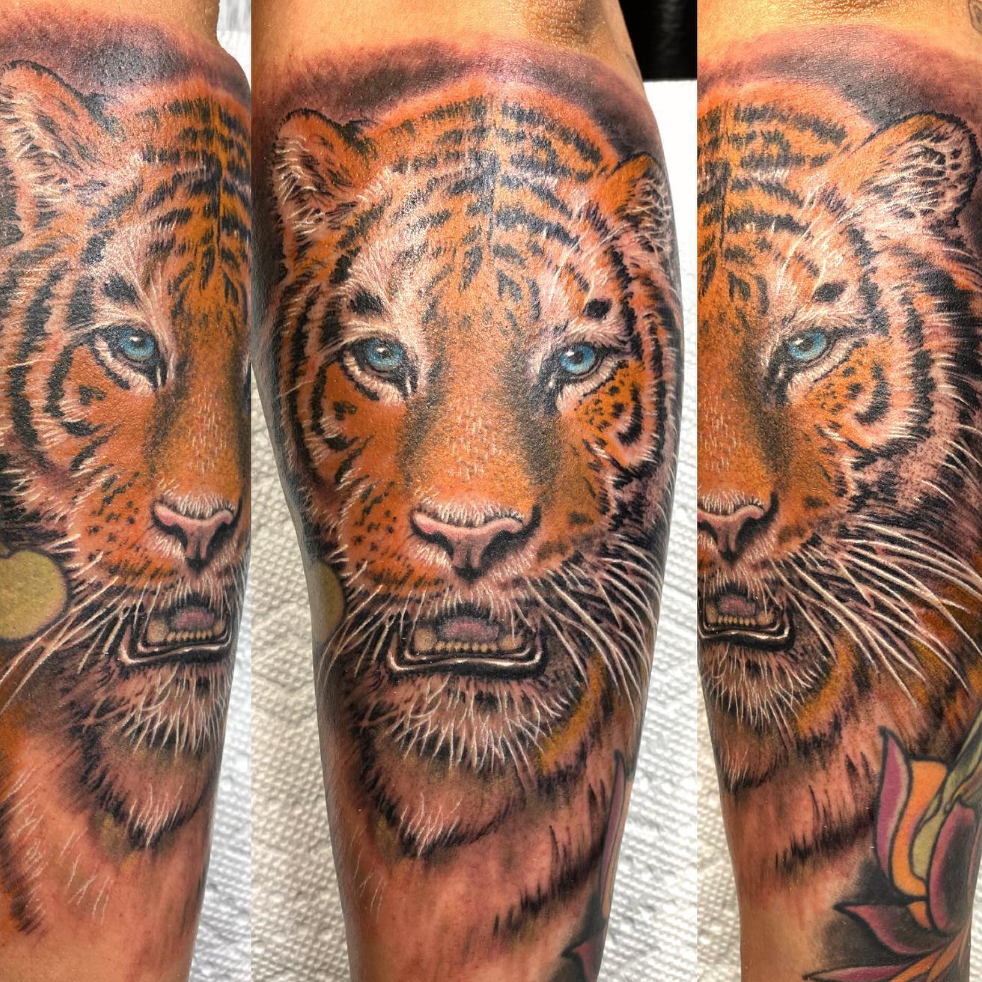 Screen Shot 2026-02-11 at 4.45.09 PM.png