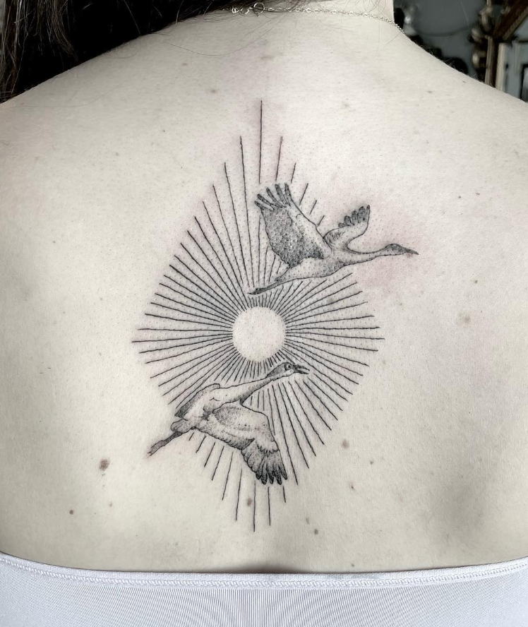 Screen Shot 2026-02-13 at 4.55.29 PM.png