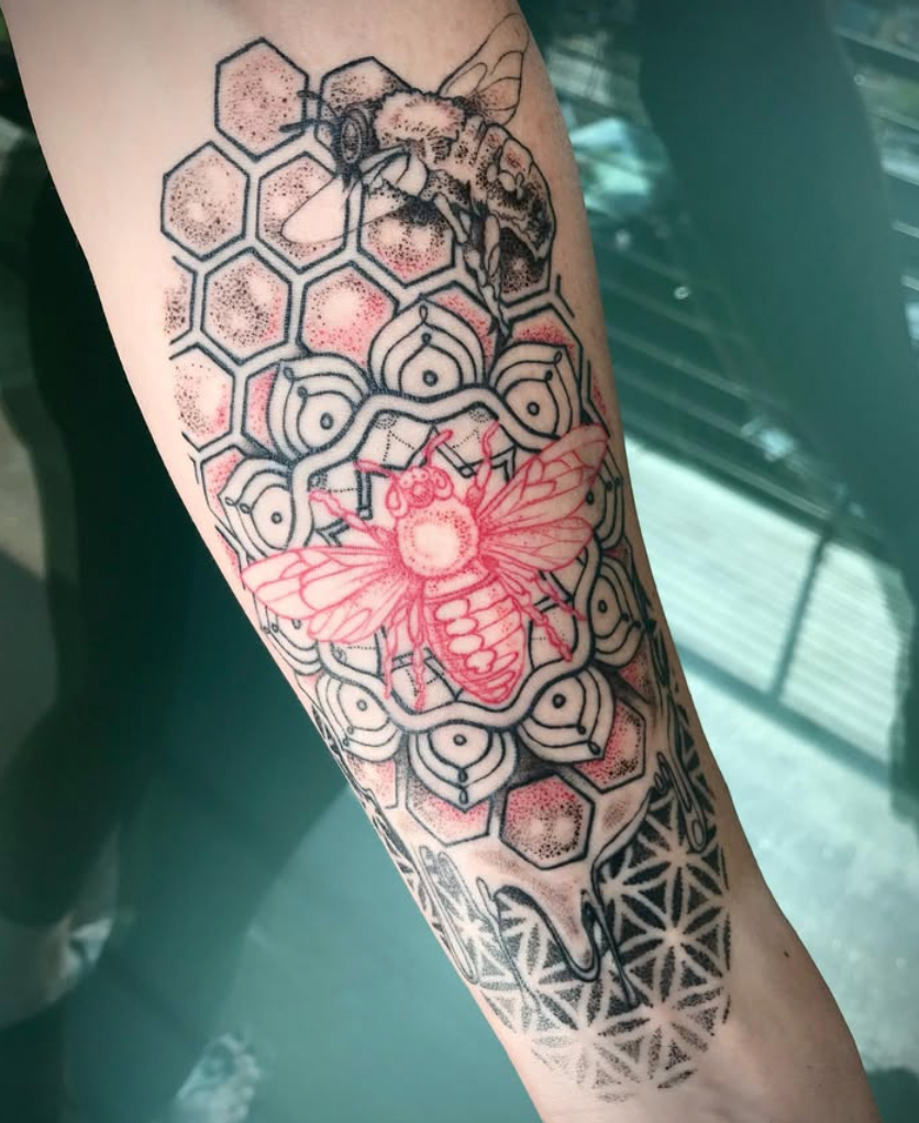 Screen Shot 2026-02-13 at 4.57.36 PM.png